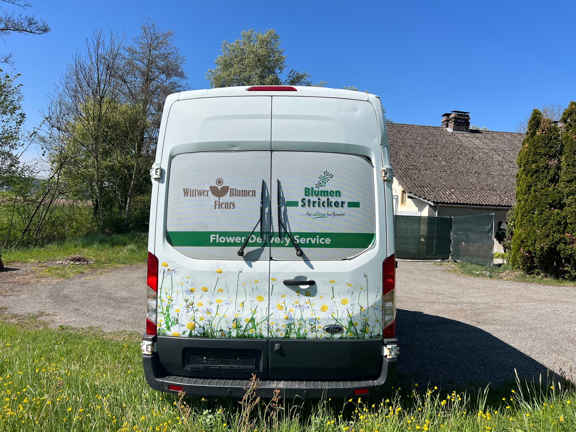 FORD Transit-image-6