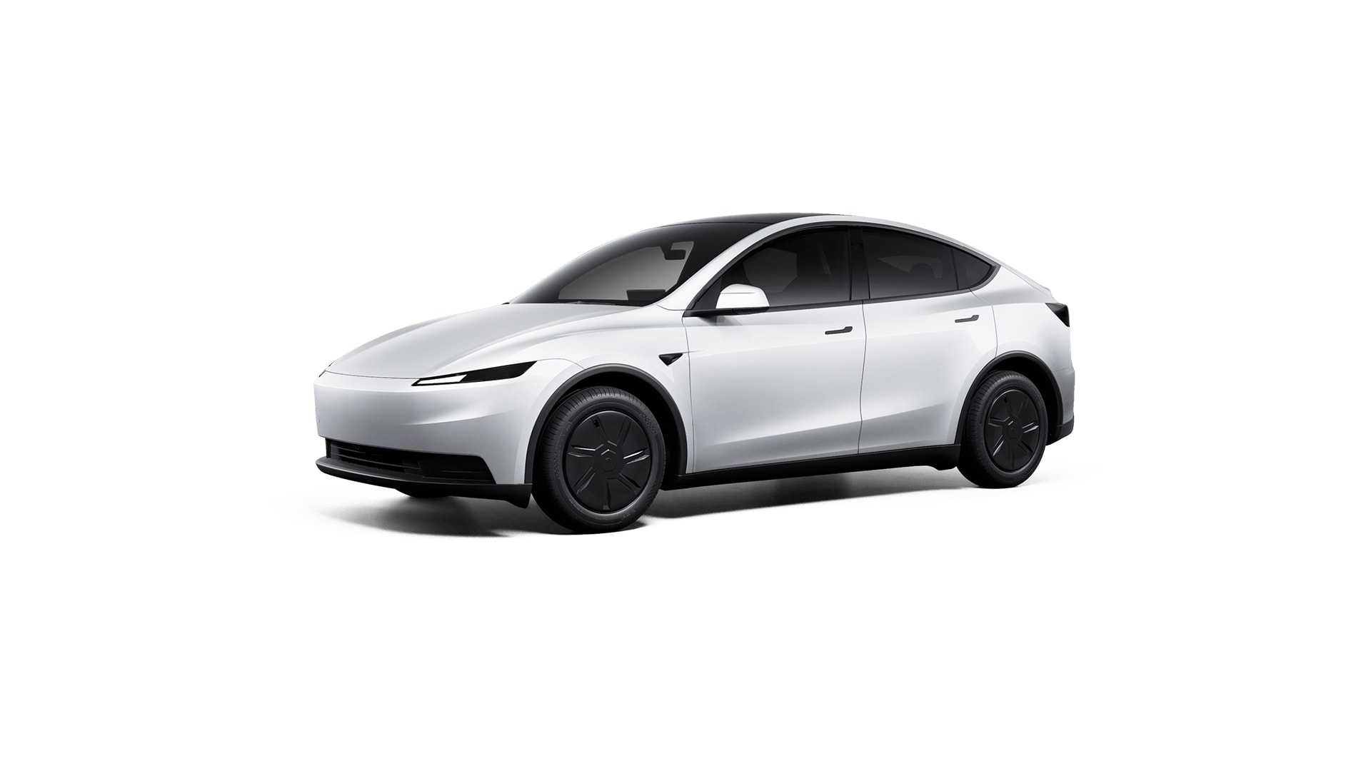 TESLA Model Y RWD-image-0