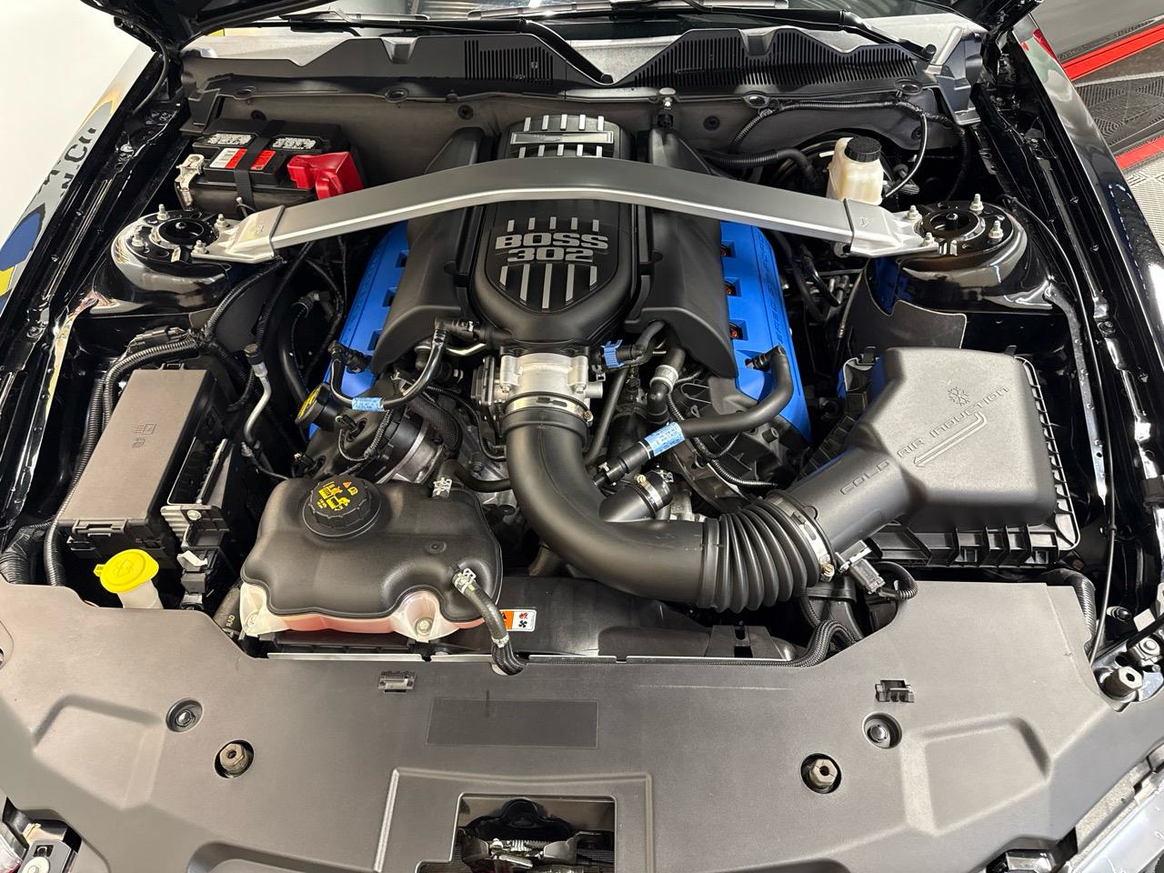 FORD Mustang 5.0 V8 Boss 302 Laguna Seca-image-9