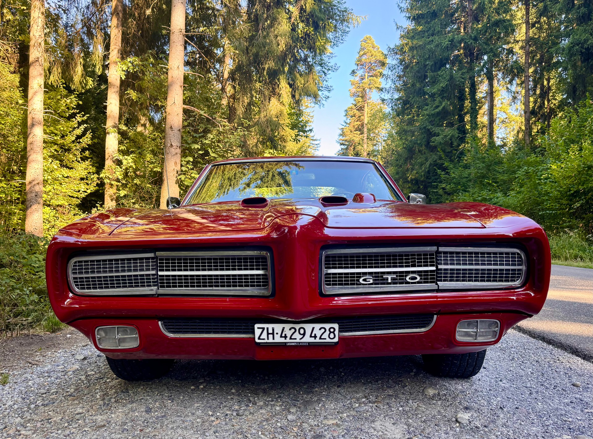 PONTIAC GTO-image-2