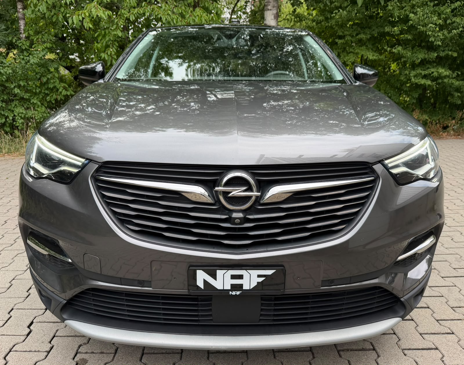 OPEL Grandland X 1.2i TP Excellence Automatik-image-7