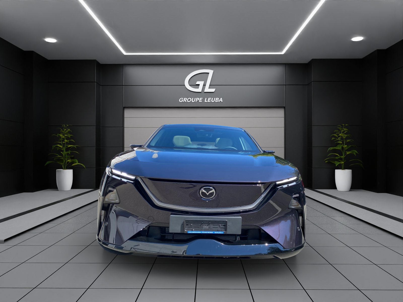 Image MAZDA CX-6E CX-6e 258ps TAKUMI PLUS 21''