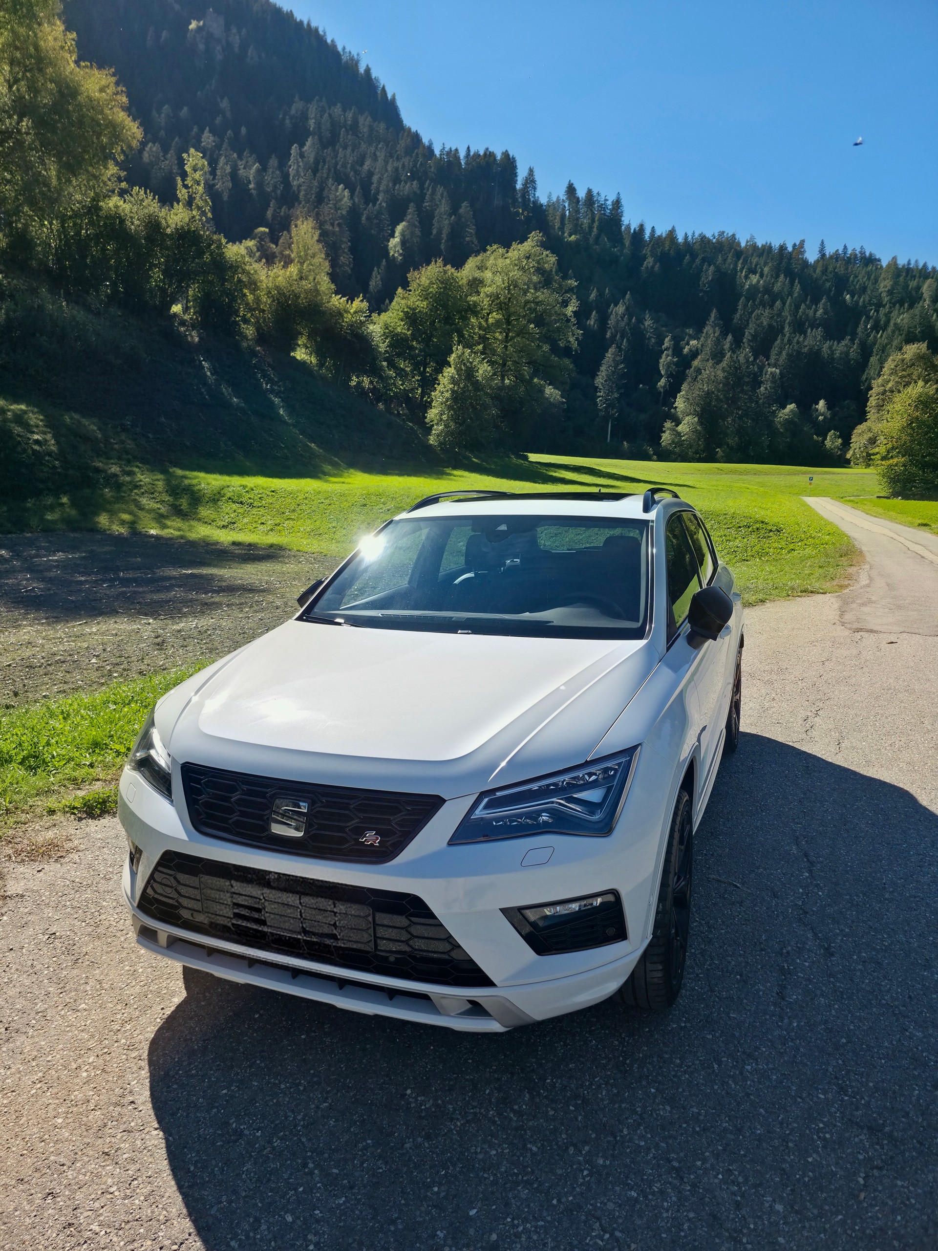 SEAT 2.0 TSI Swiss FR 4Drive DSG-image-3