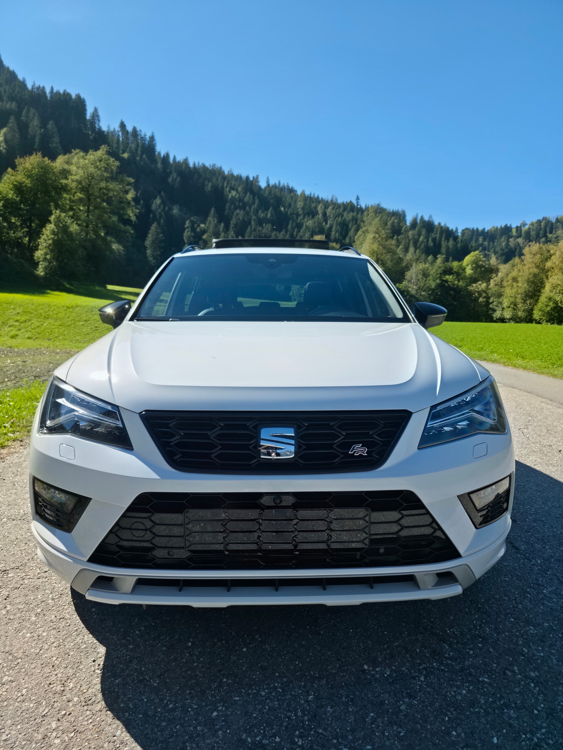 SEAT 2.0 TSI Swiss FR 4Drive DSG-image-1