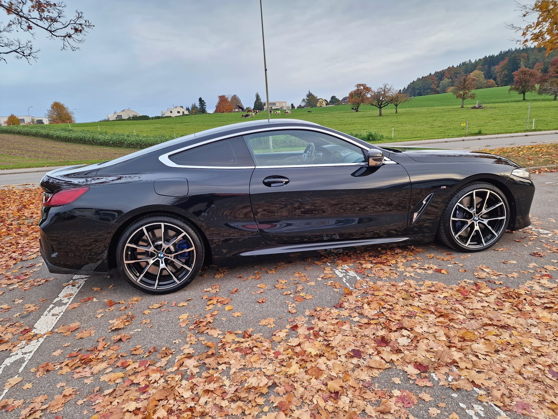BMW M850i xDrive Steptronic-image-3