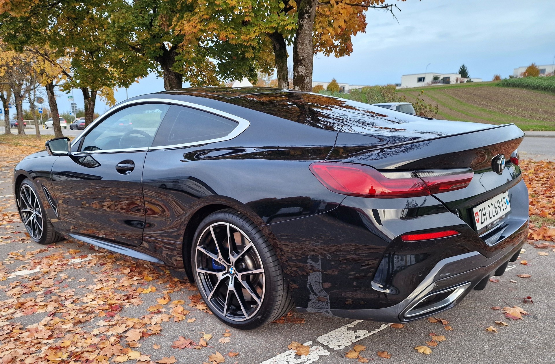 BMW M850i xDrive Steptronic-image-8