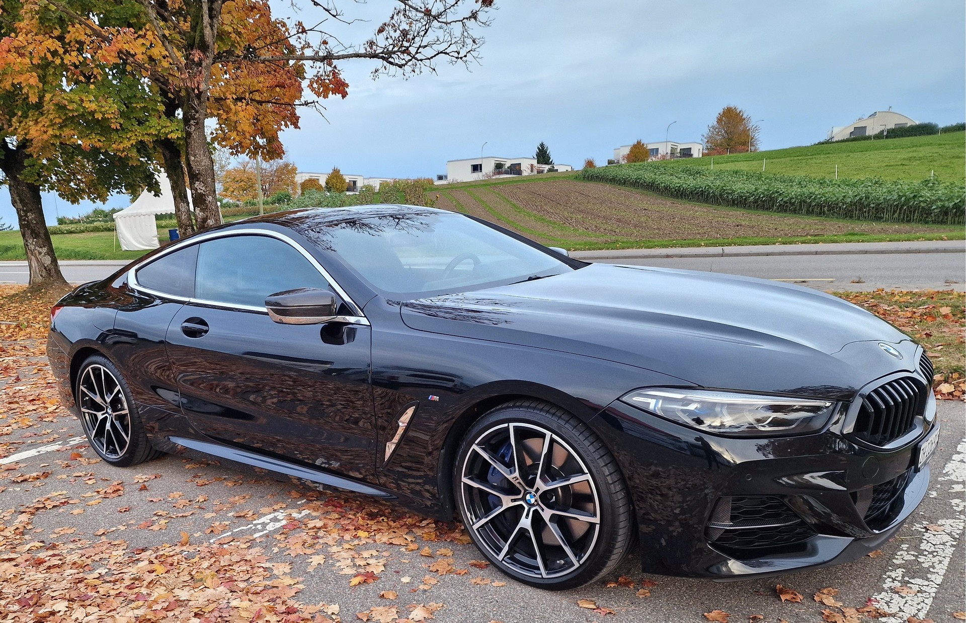 BMW M850i xDrive Steptronic-image-5