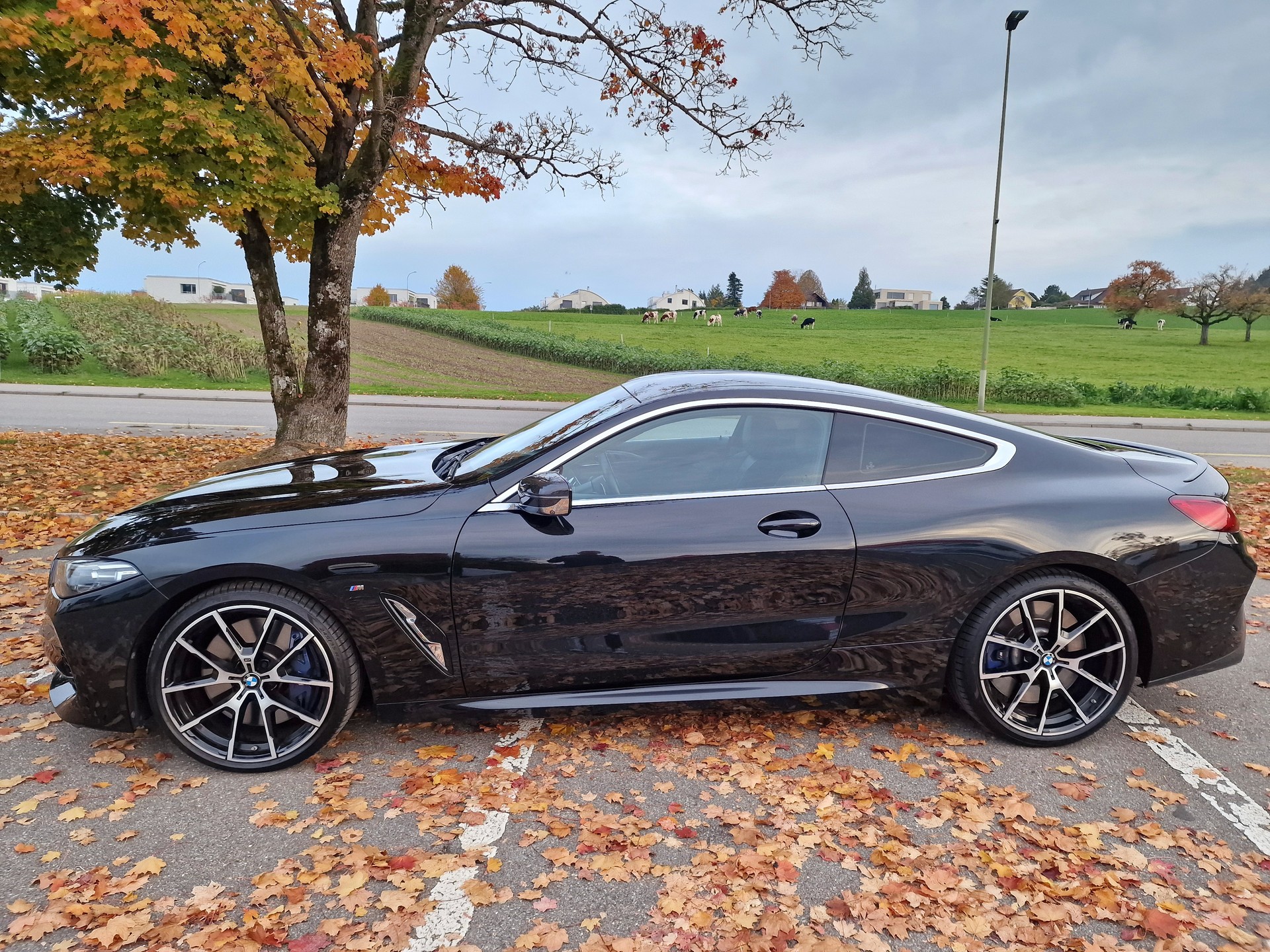 BMW M850i xDrive Steptronic-image-6