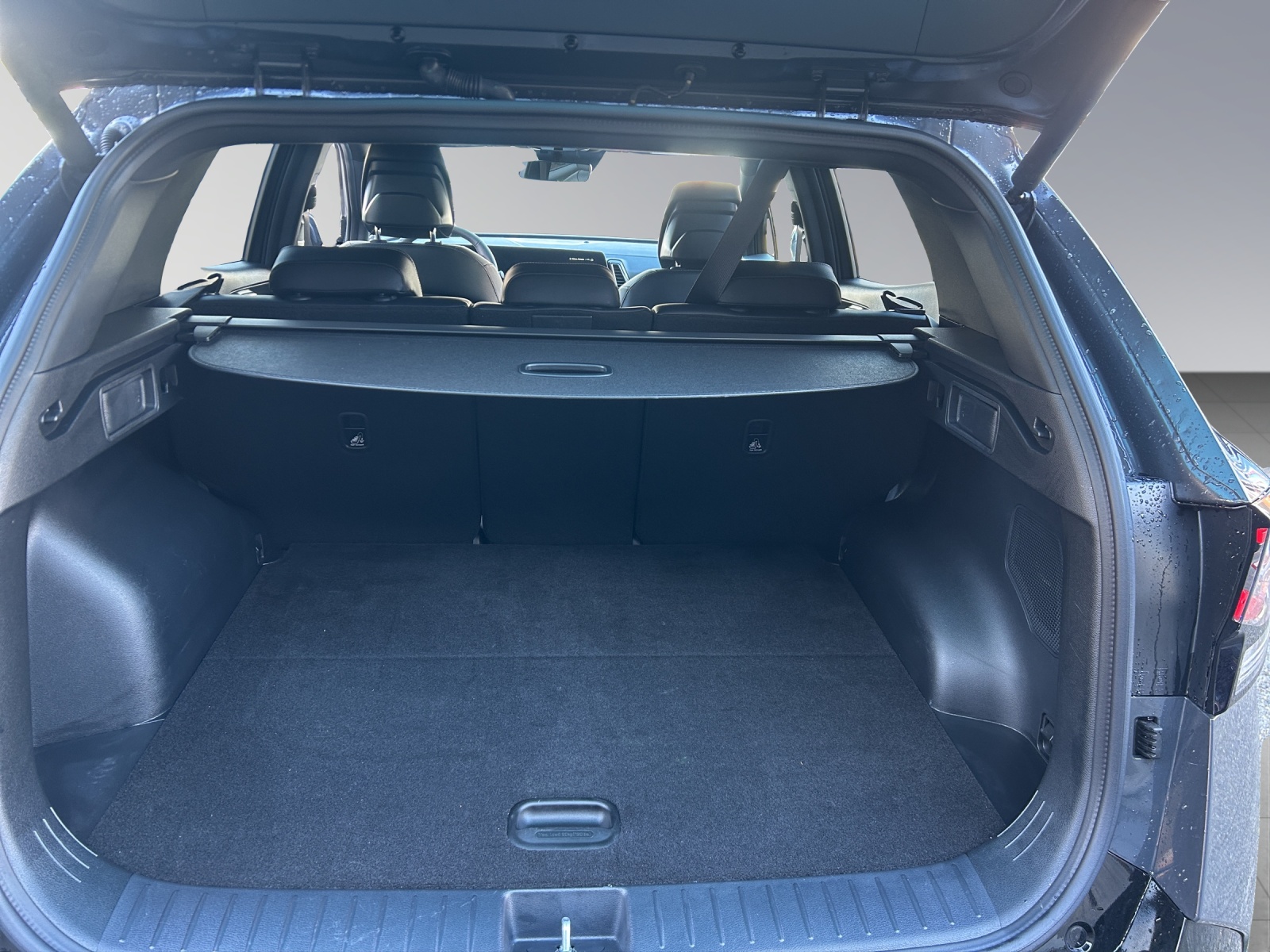 KIA Sportage 1.6 T-GDi Hybrid GT-Line-image-14