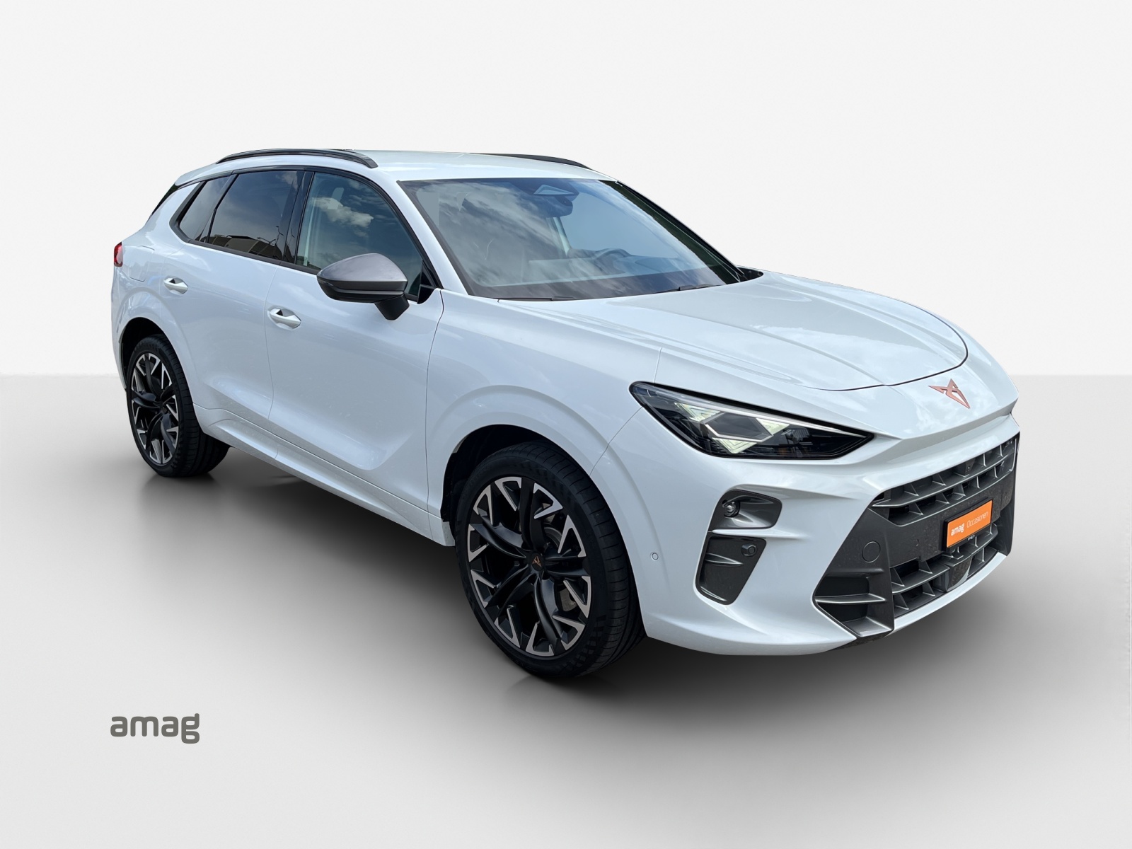 CUPRA Terramar 2.0 TSI DSG 4Drive VZ-image-5