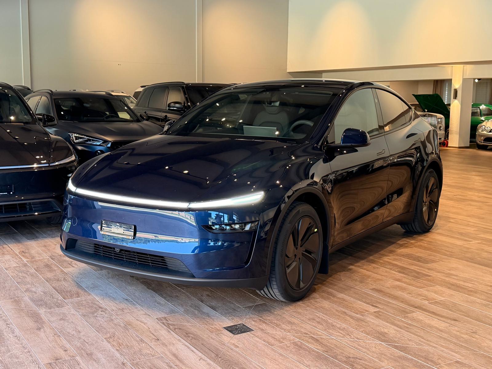 TESLA Model Y Long Range AWD-image-0