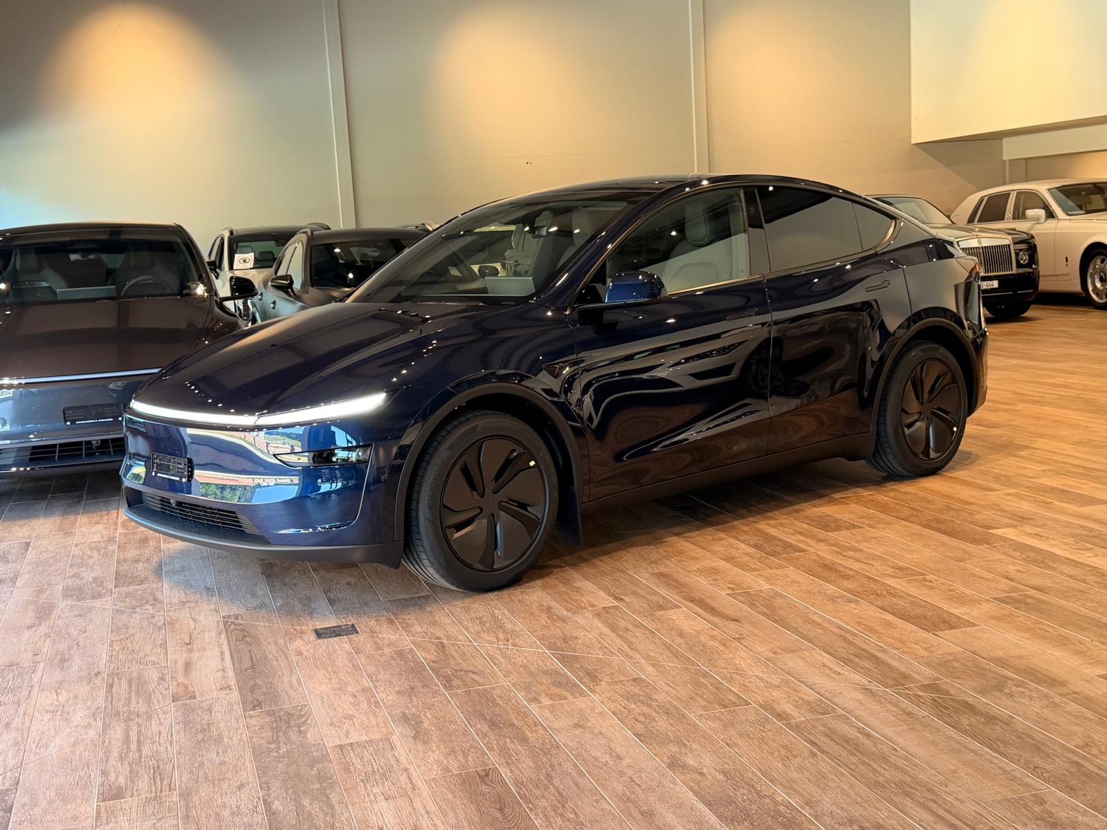 TESLA Model Y Long Range AWD-image-13