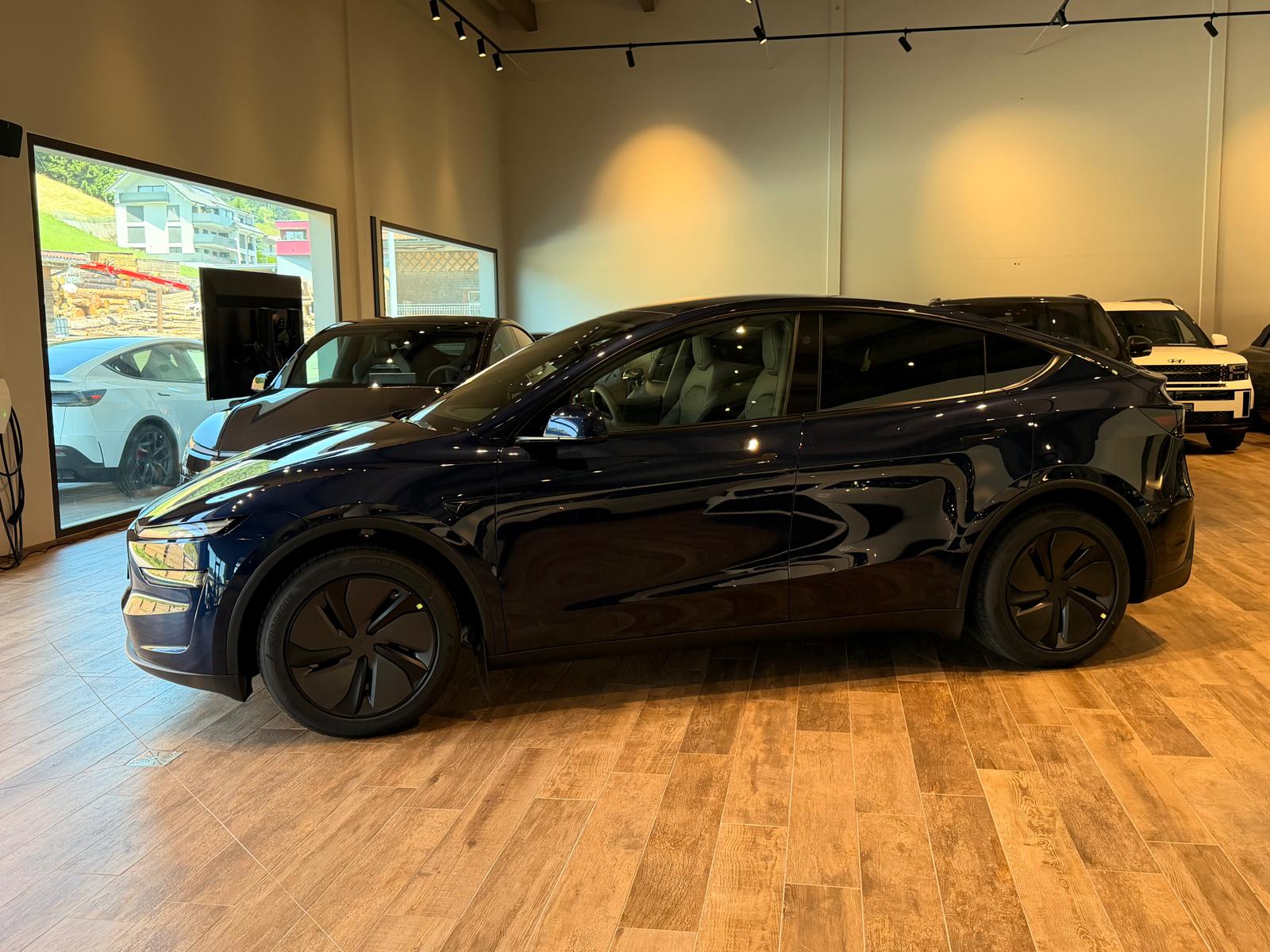 TESLA Model Y Long Range AWD-image-16