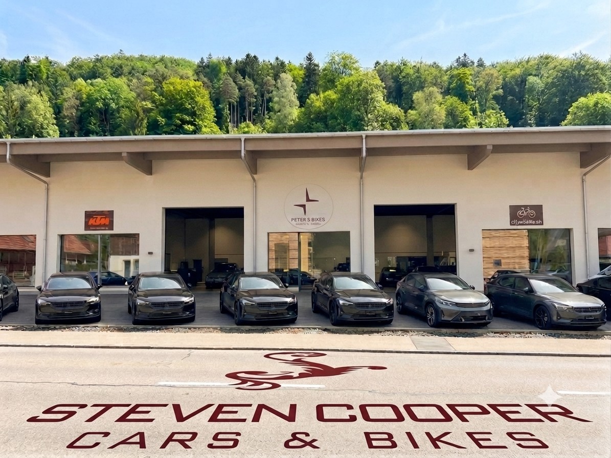 TESLA Model Y Long Range AWDđ„-image-27