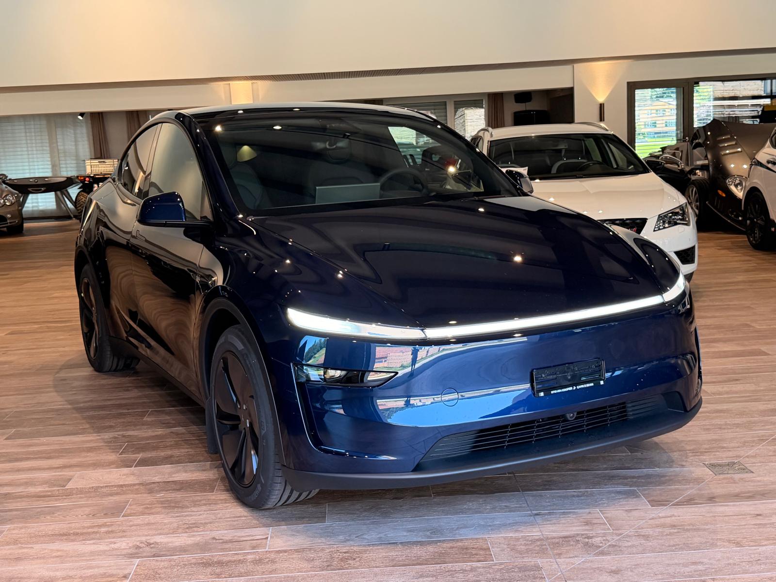 TESLA Model Y Long Range AWD-image-17