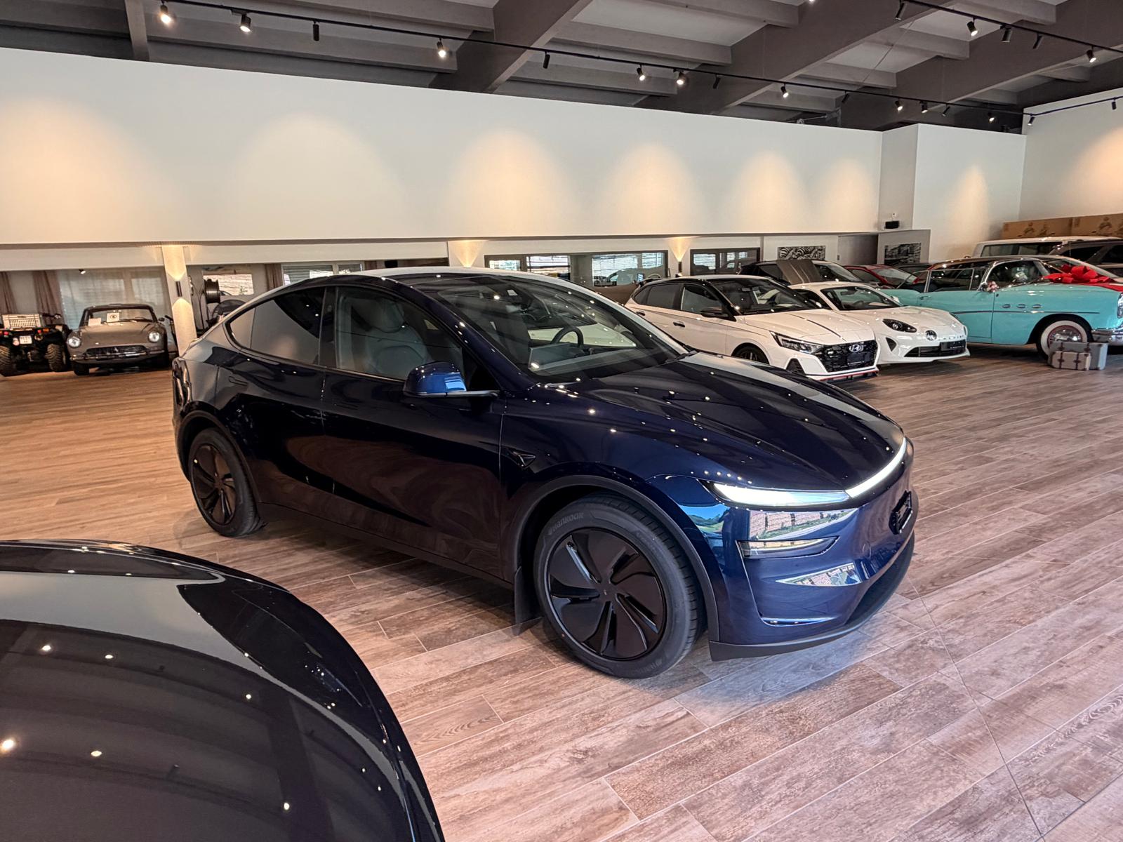 TESLA Model Y Long Range AWD-image-14