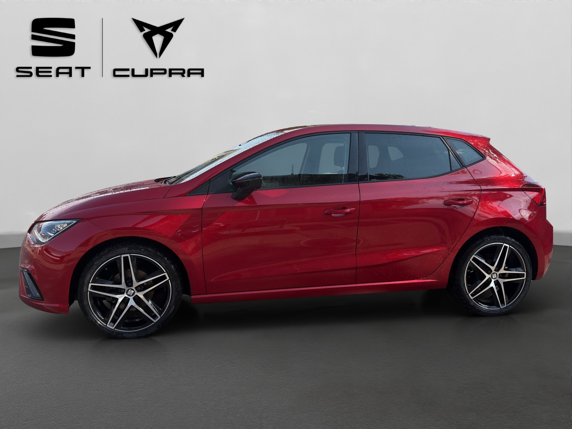 SEAT Ibiza 1.0 EcoTSI DSG Swiss FR-image-3