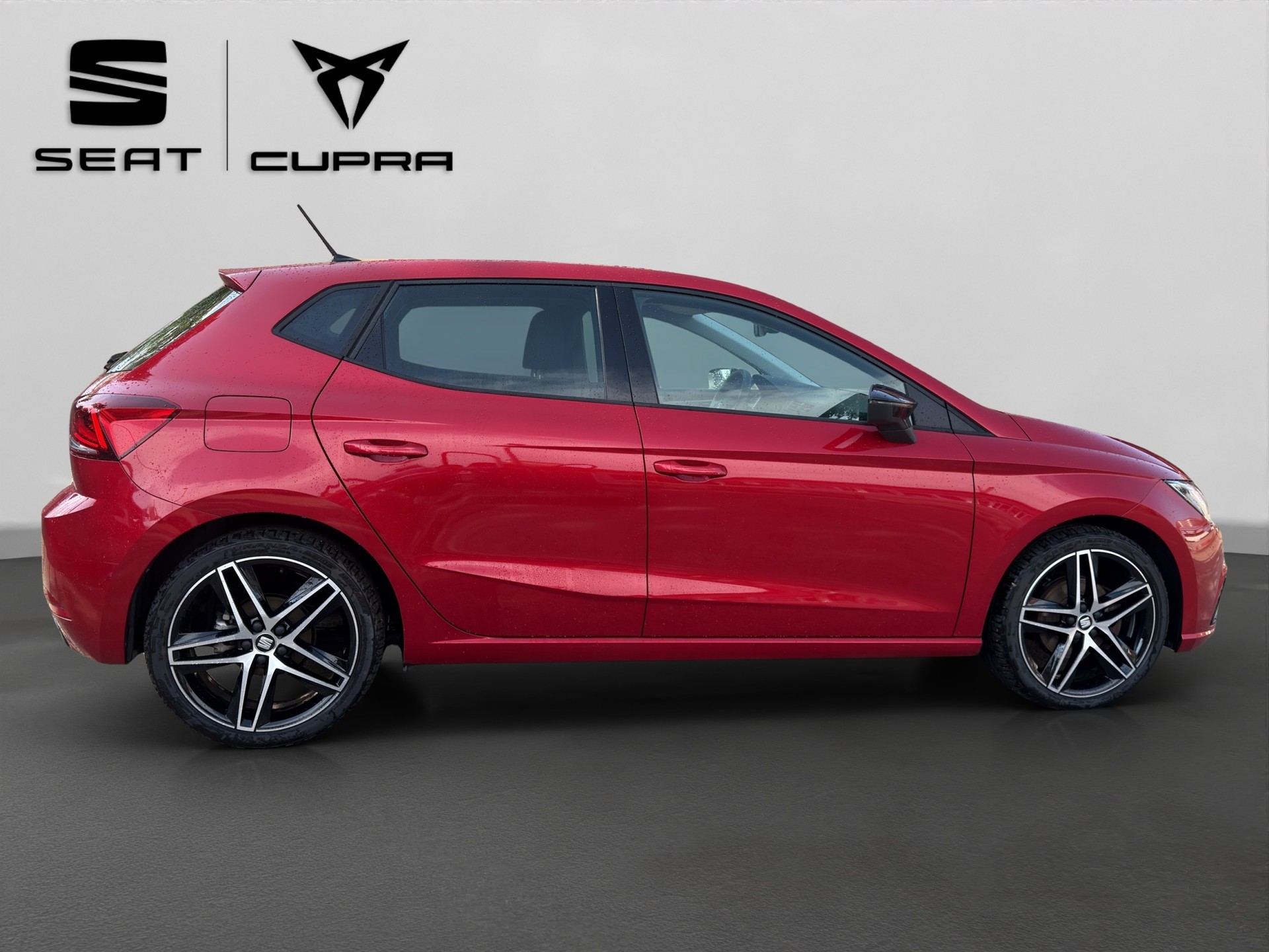 SEAT Ibiza 1.0 EcoTSI DSG Swiss FR-image-7
