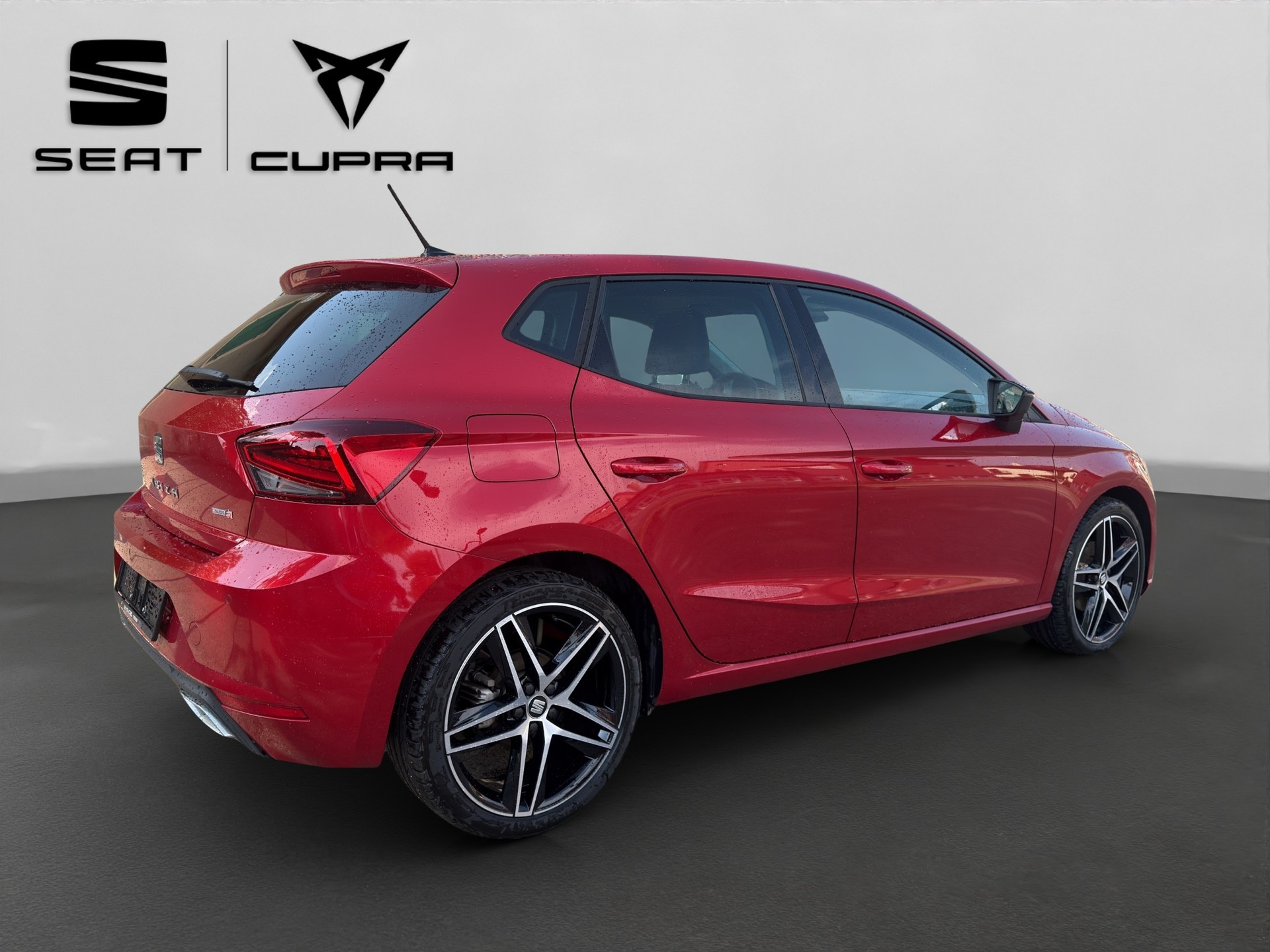 SEAT Ibiza 1.0 EcoTSI DSG Swiss FR-image-5