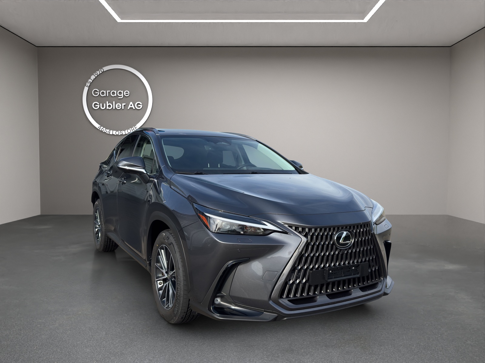 LEXUS NX 450h+ Excellence-image-1