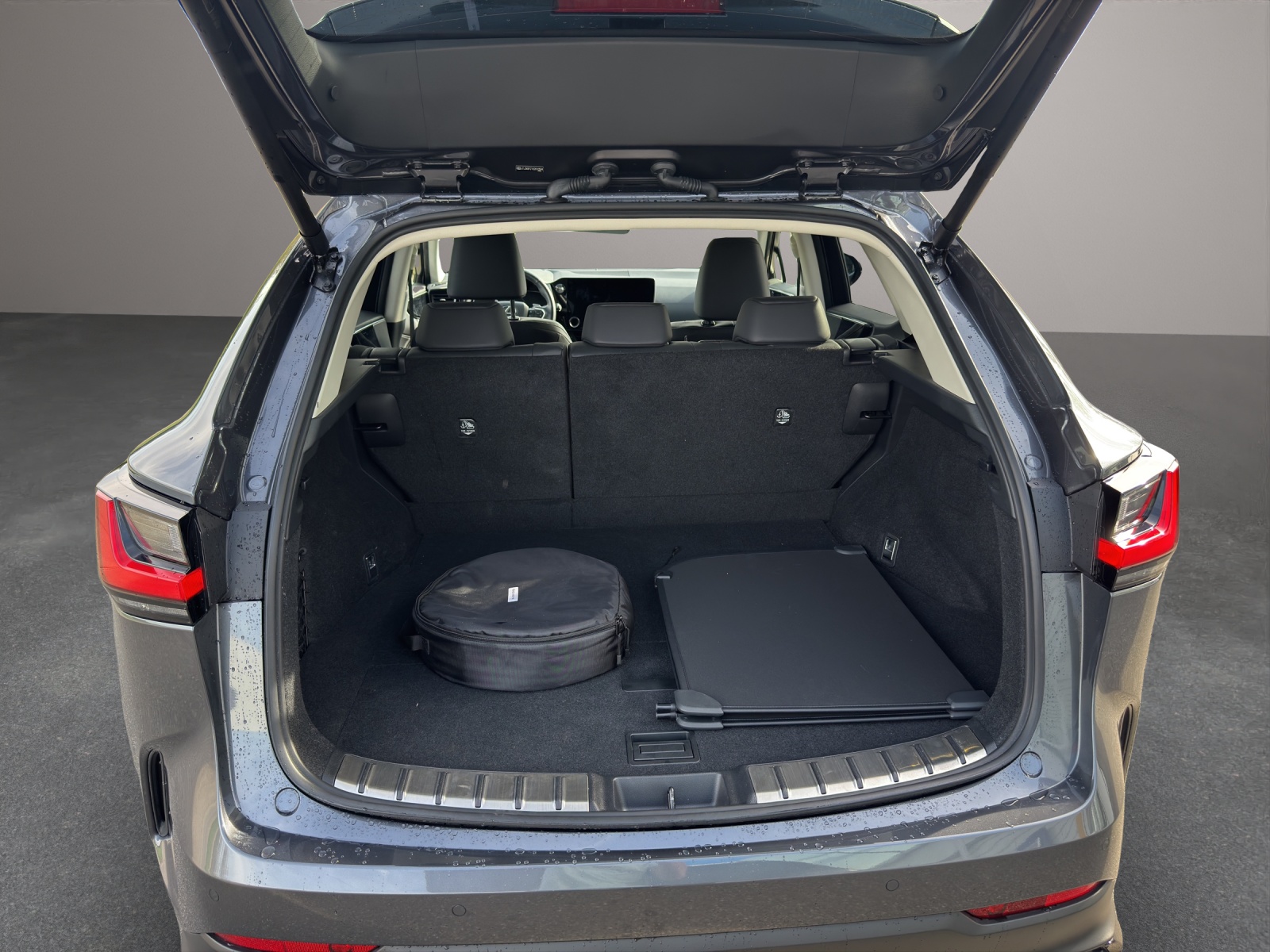 LEXUS NX 450h+ Excellence-image-10