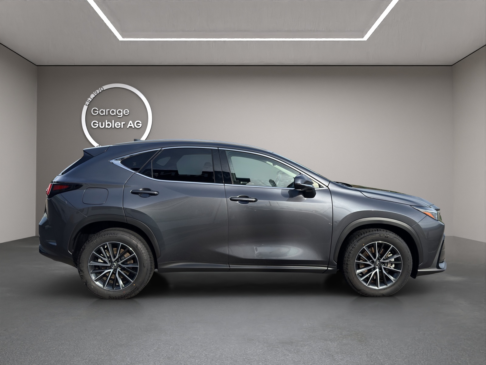 LEXUS NX 450h+ Excellence-image-2