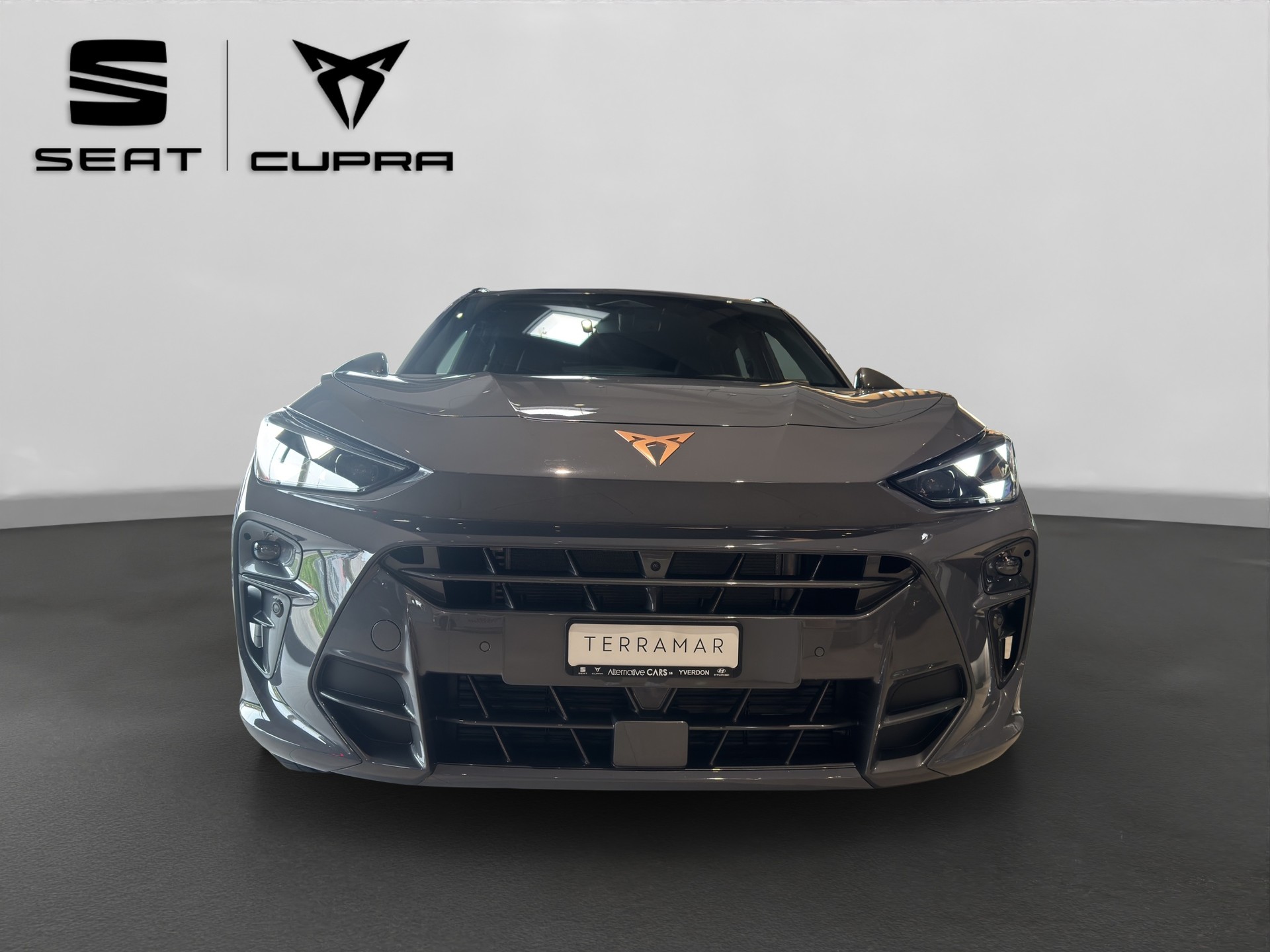 CUPRA Terramar 2.0 TSI DSG 4Drive VZ-image-1