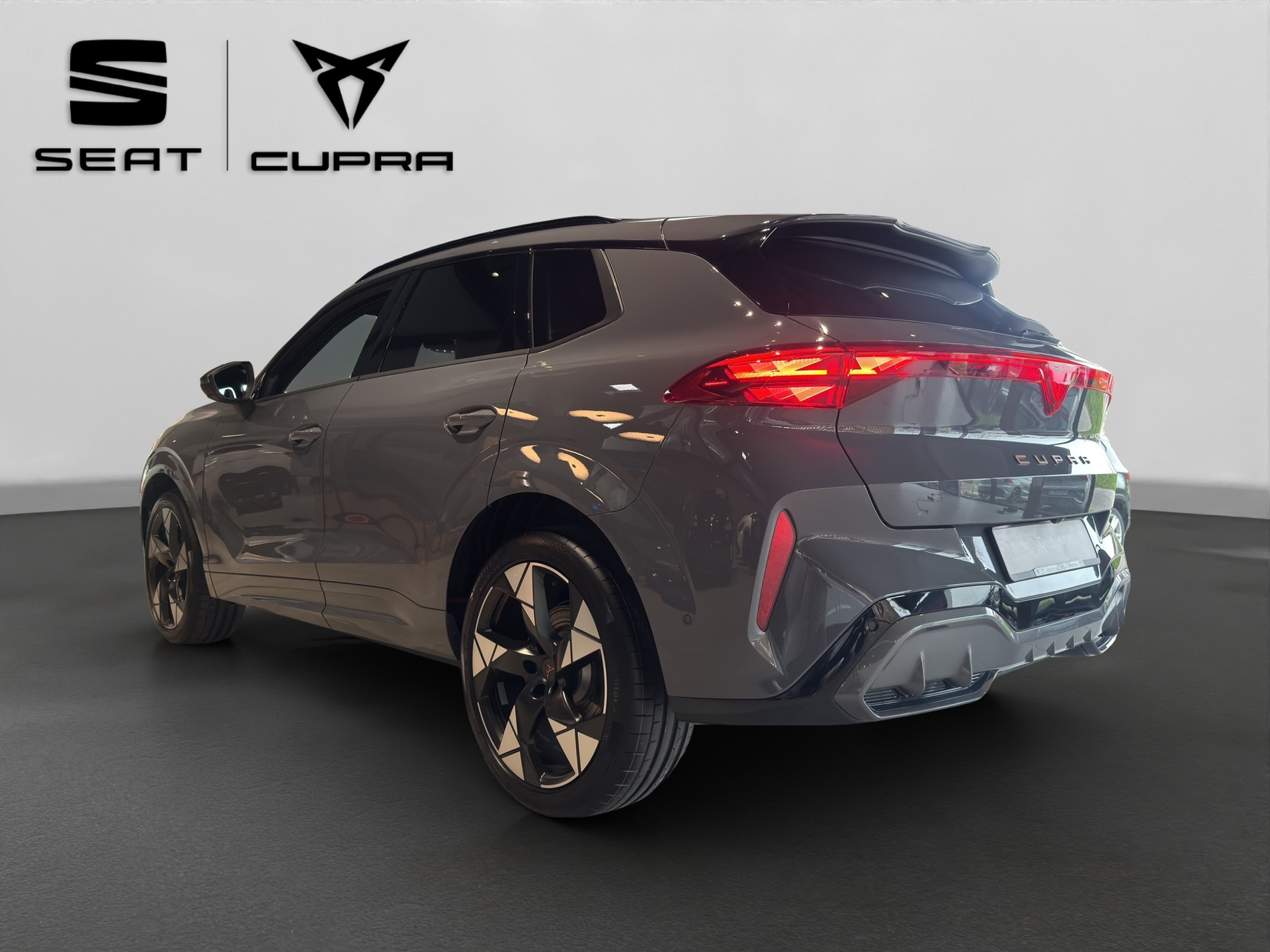 CUPRA Terramar 2.0 TSI DSG 4Drive VZ-image-3