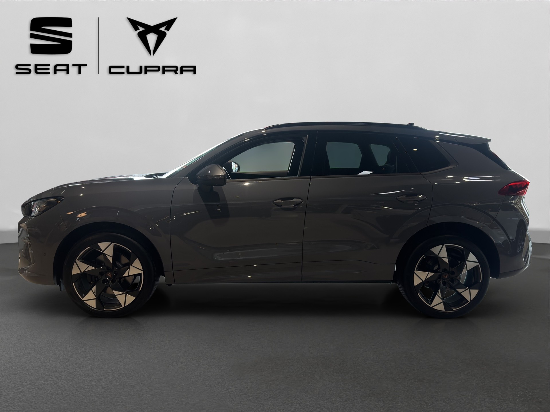 CUPRA Terramar 2.0 TSI DSG 4Drive VZ-image-2
