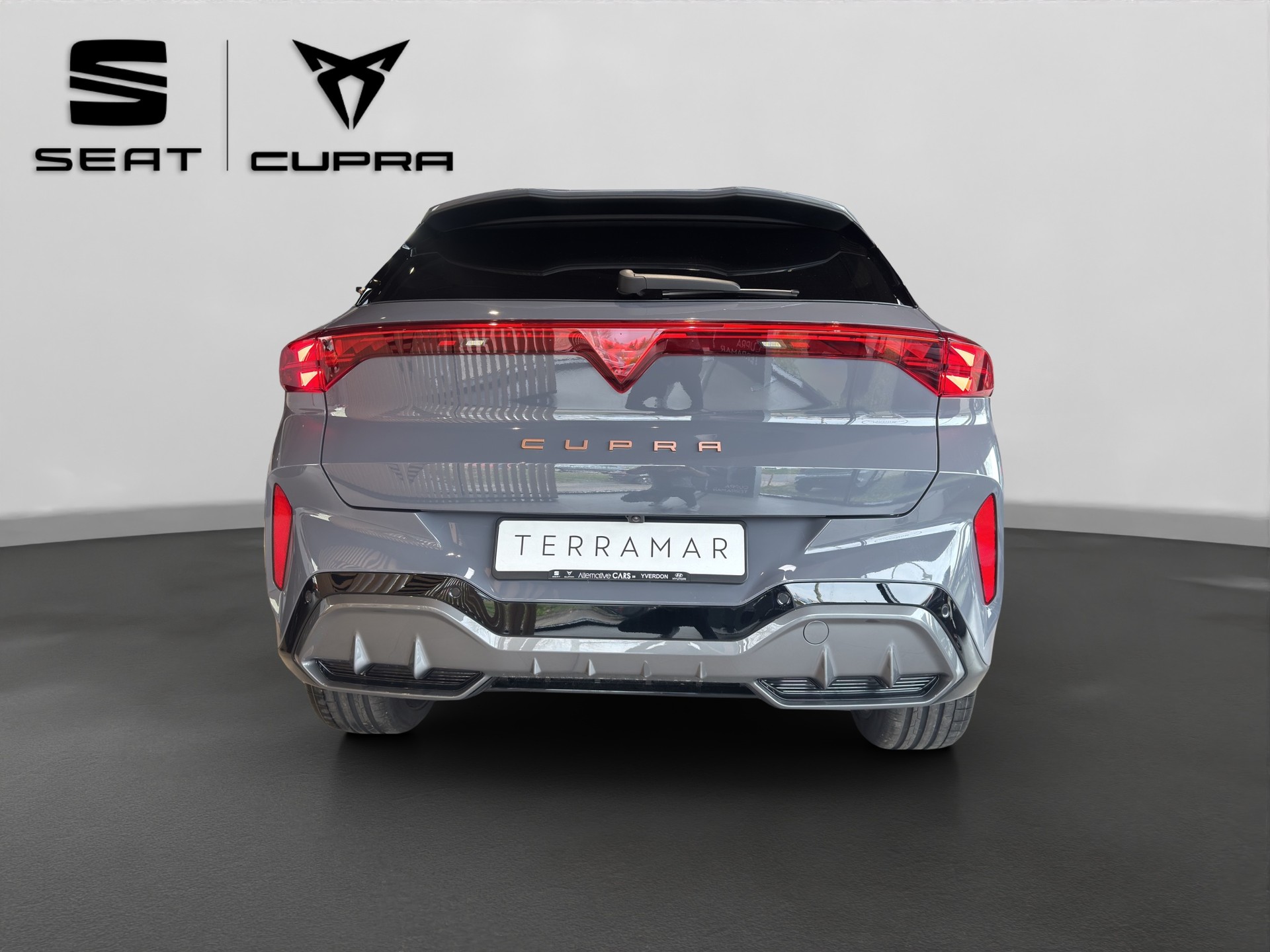 CUPRA Terramar 2.0 TSI DSG 4Drive VZ-image-4