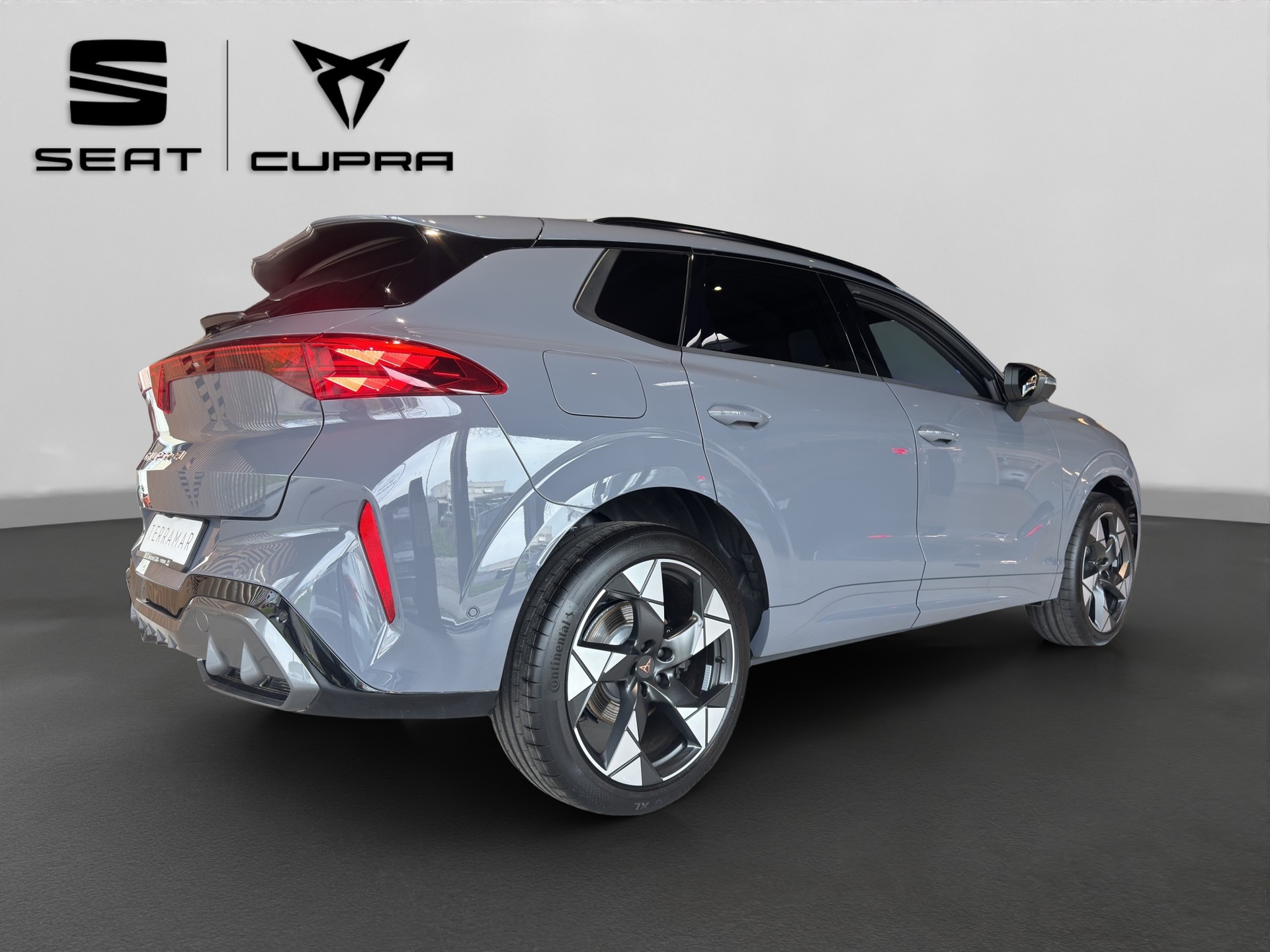 CUPRA Terramar 2.0 TSI DSG 4Drive VZ-image-5