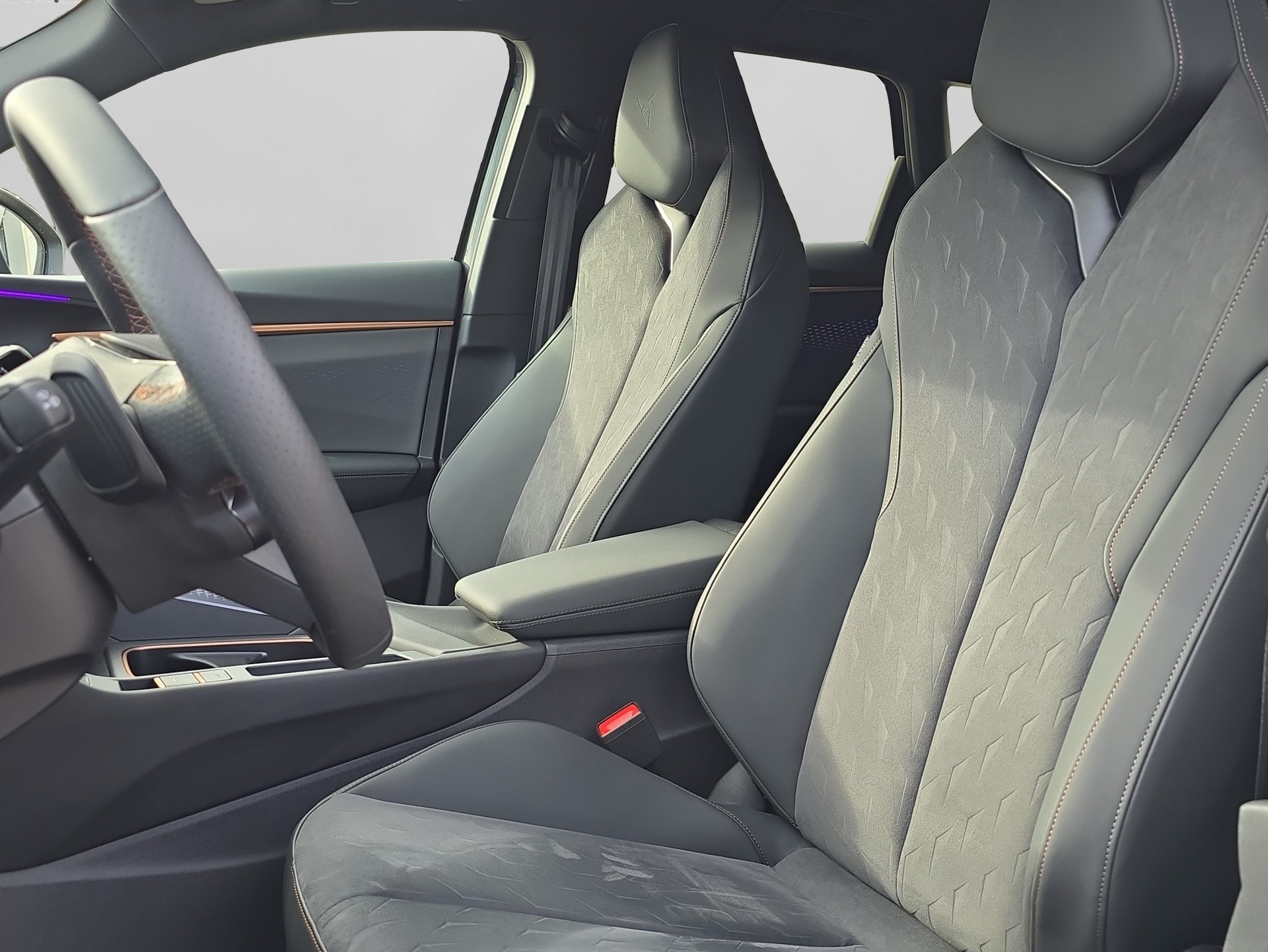 CUPRA Terramar 2.0 TSI DSG 4Drive VZ-image-9