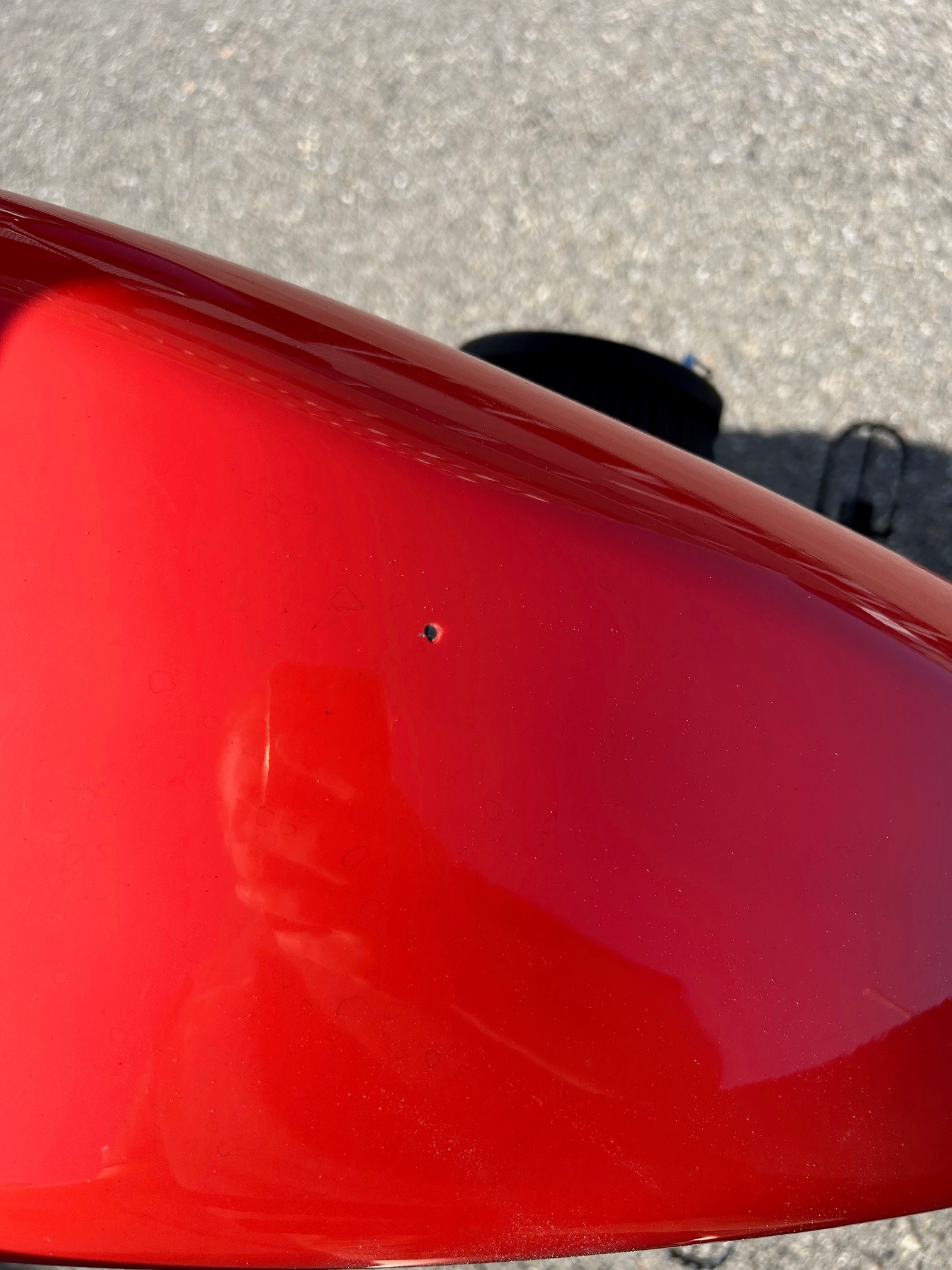 HARLEY-DAVIDSON XL 883 R-image-6