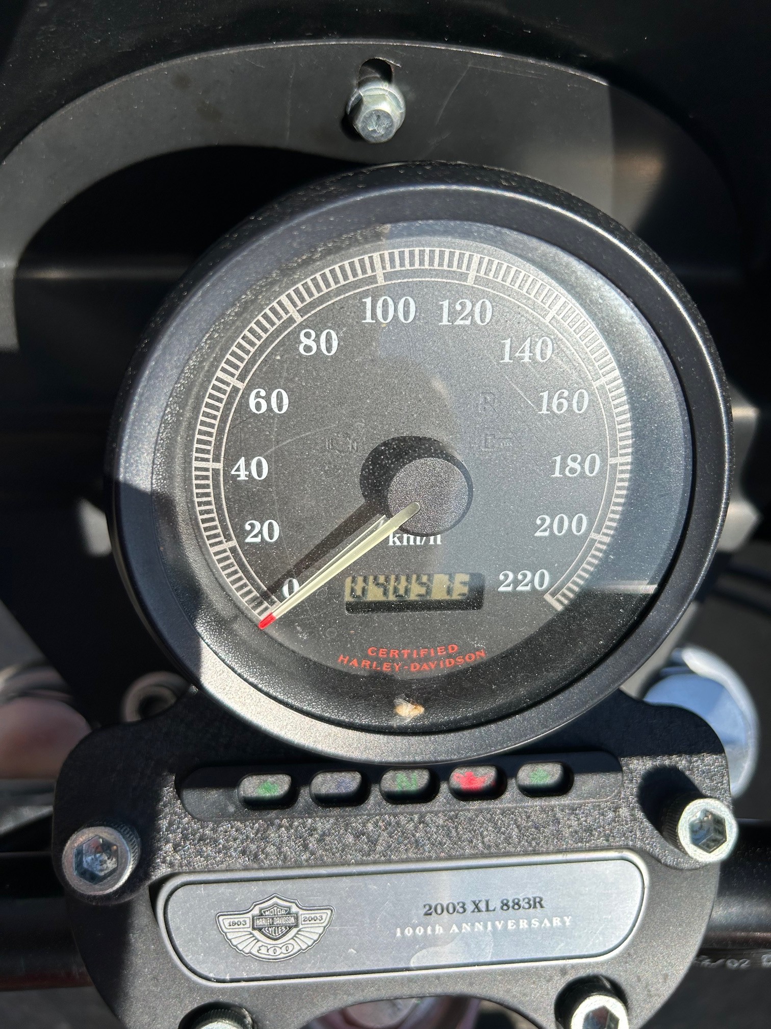 HARLEY-DAVIDSON XL 883 R-image-8
