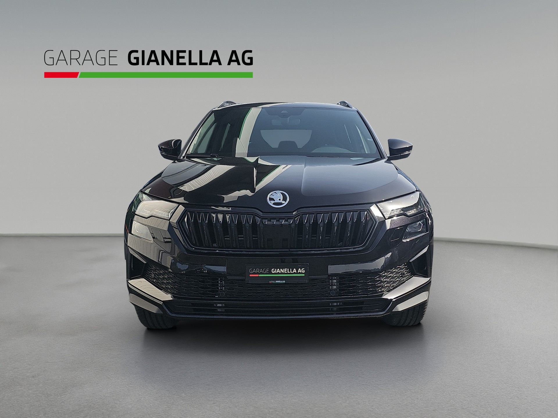 SKODA Karoq 2.0 TSI Dynamic Limited Edition 4x4 DSG-showroom-element-3