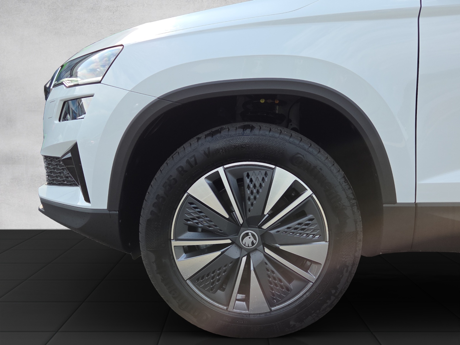 SKODA Karoq 2.0 TDI CR Dynamic 4x4 DSG-image-14