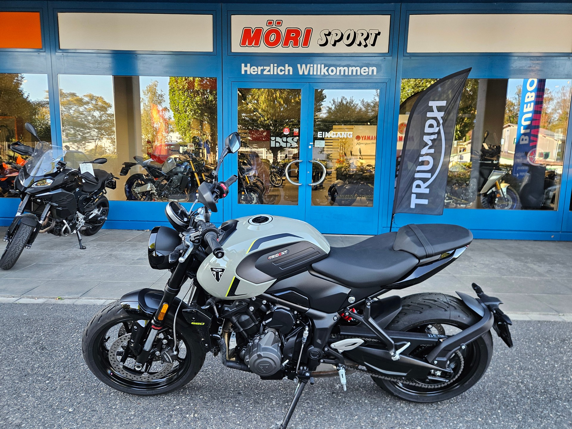 TRIUMPH Trident 660-showroom-element-3