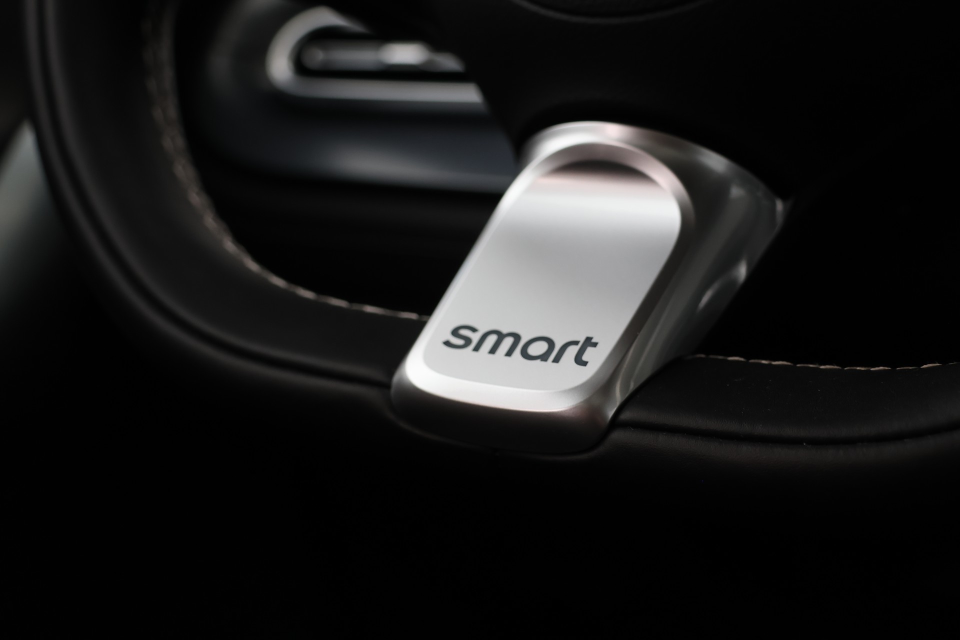 SMART #1 66kWh Pro+ (CH)-image-16