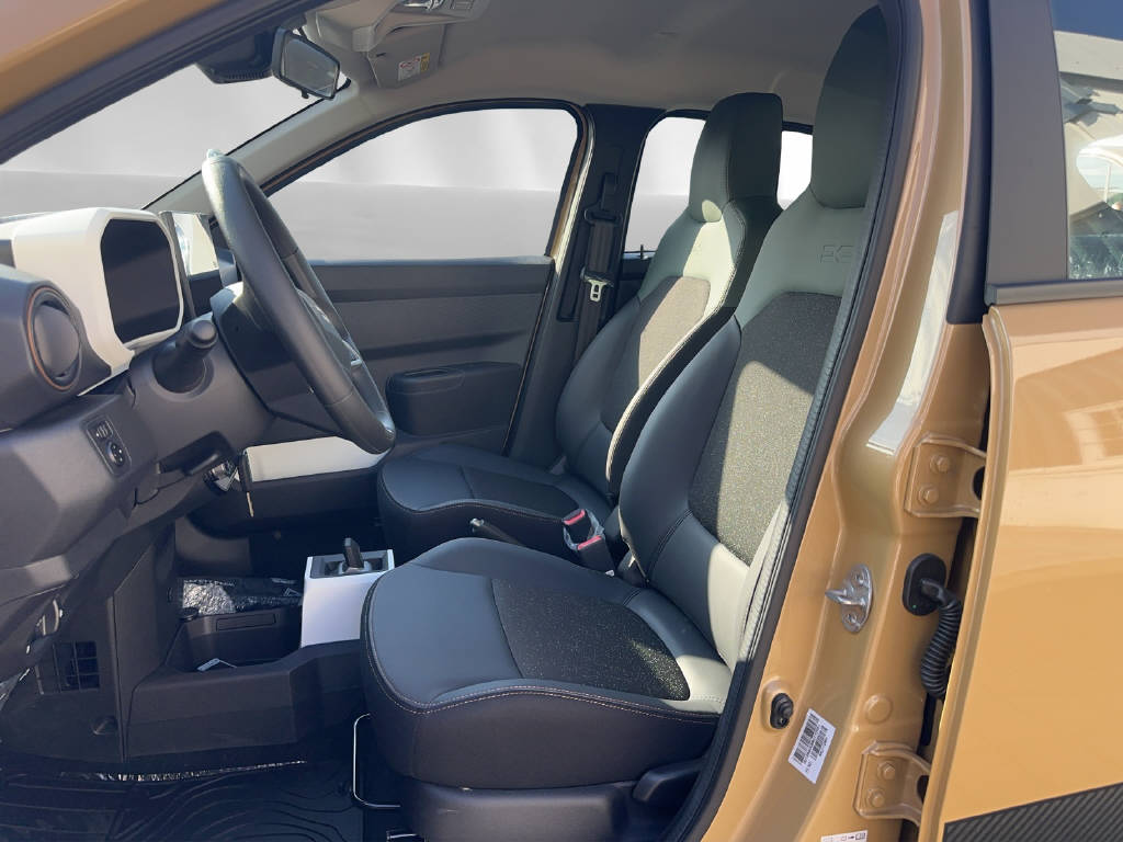 DACIA Spring Extreme-image-3