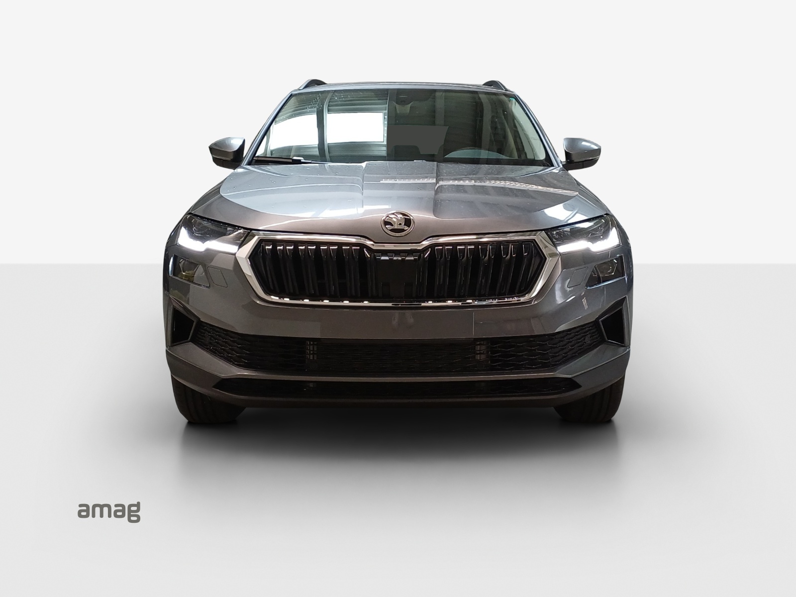 SKODA Karoq 1.5 TSI Dynamic DSG-image-6