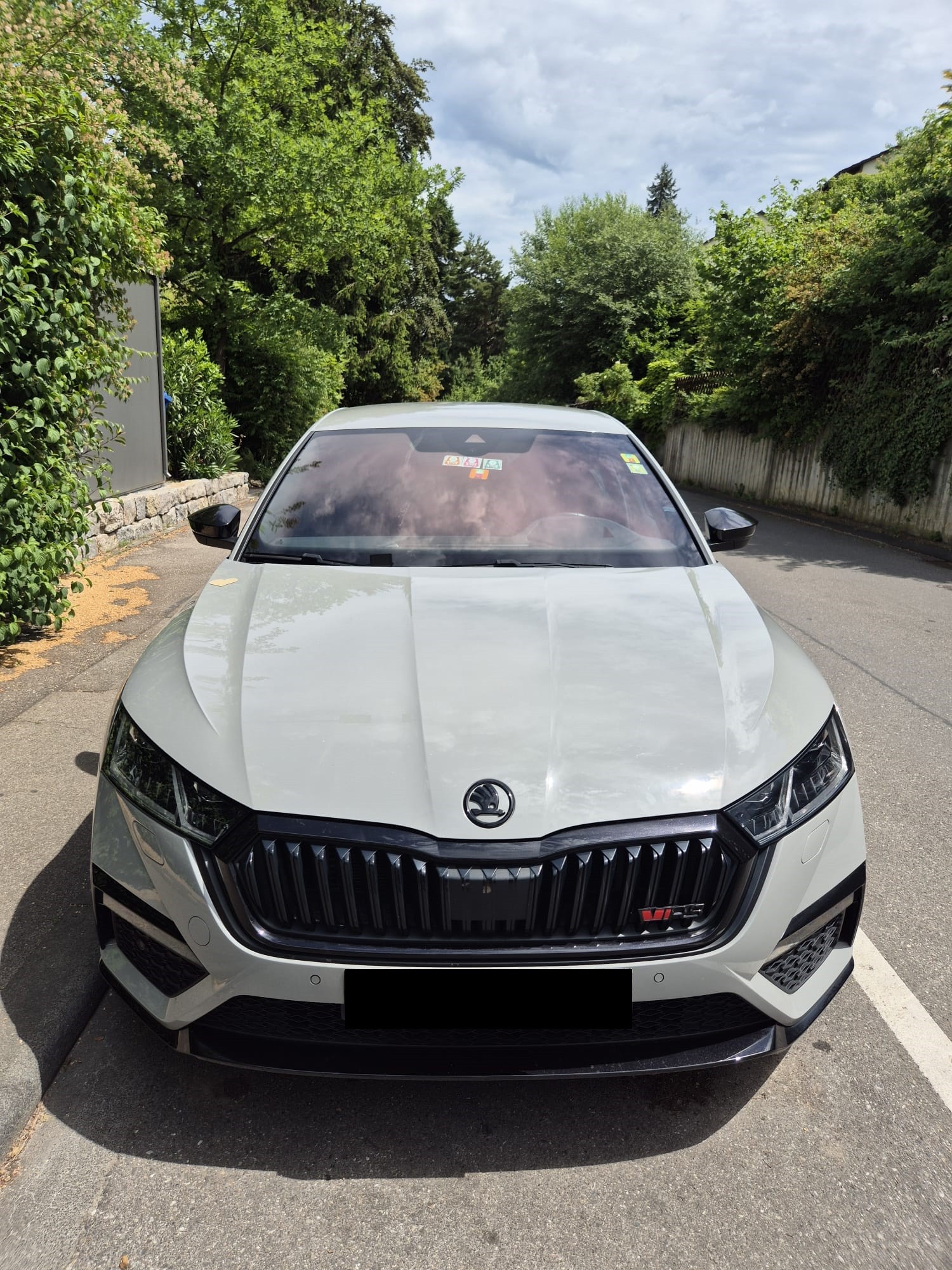 SKODA Octavia 2.0 TSI RS DSG-image-4