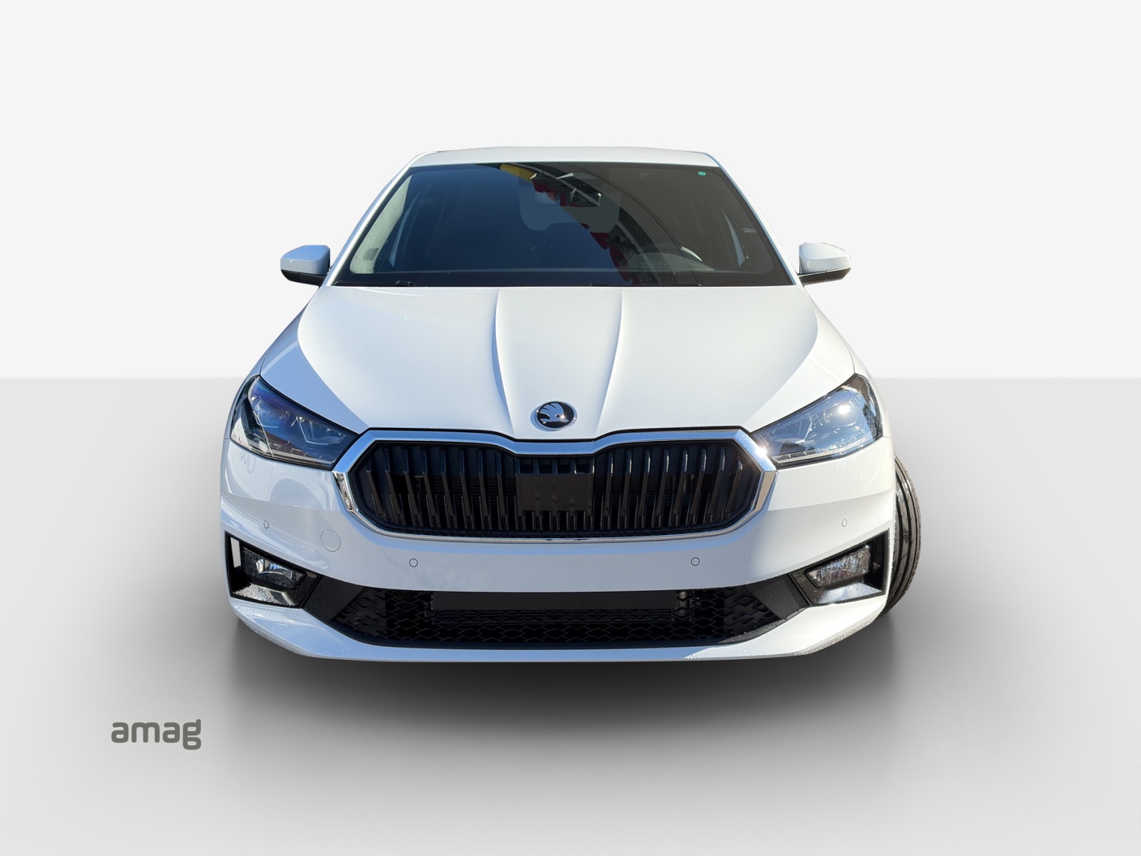 SKODA Fabia 1.5 TSI Dynamic DSG-image-6