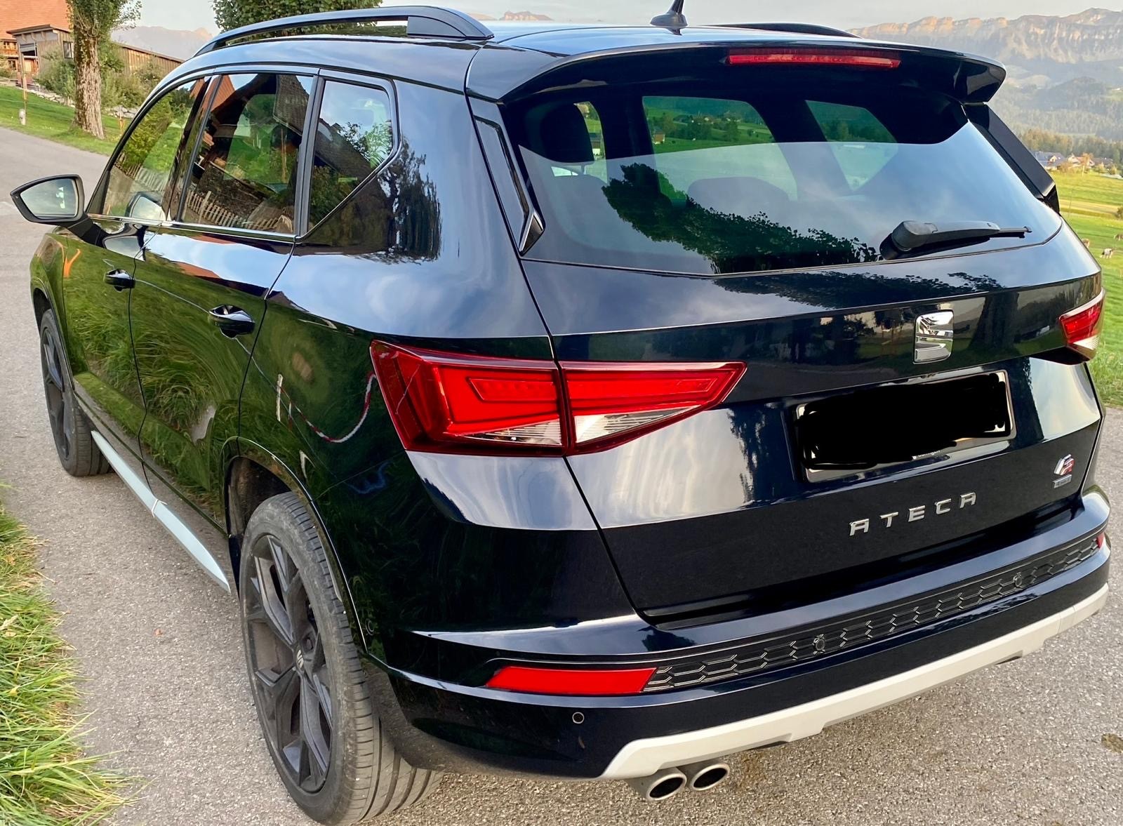 SEAT 2.0 TSI Swiss FR 4Drive DSG-image-4
