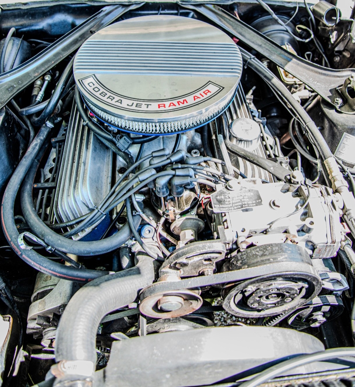 FORD Fastback-image-14