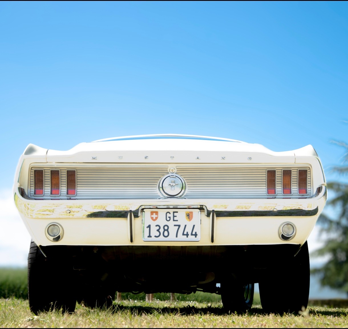 FORD Fastback-image-3
