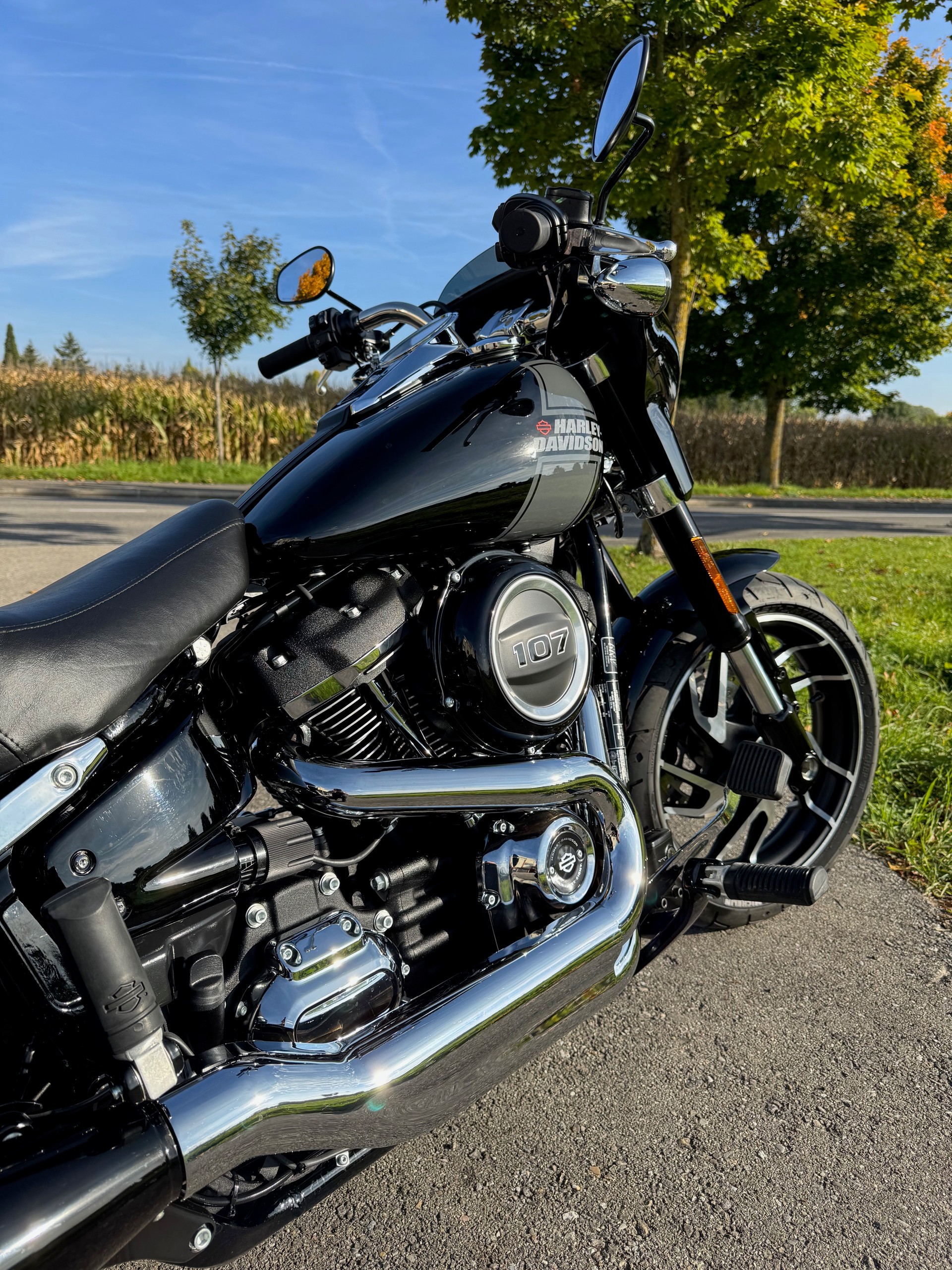 HARLEY-DAVIDSON FLSB Sport Glide 107 ABS-showroom-element-3