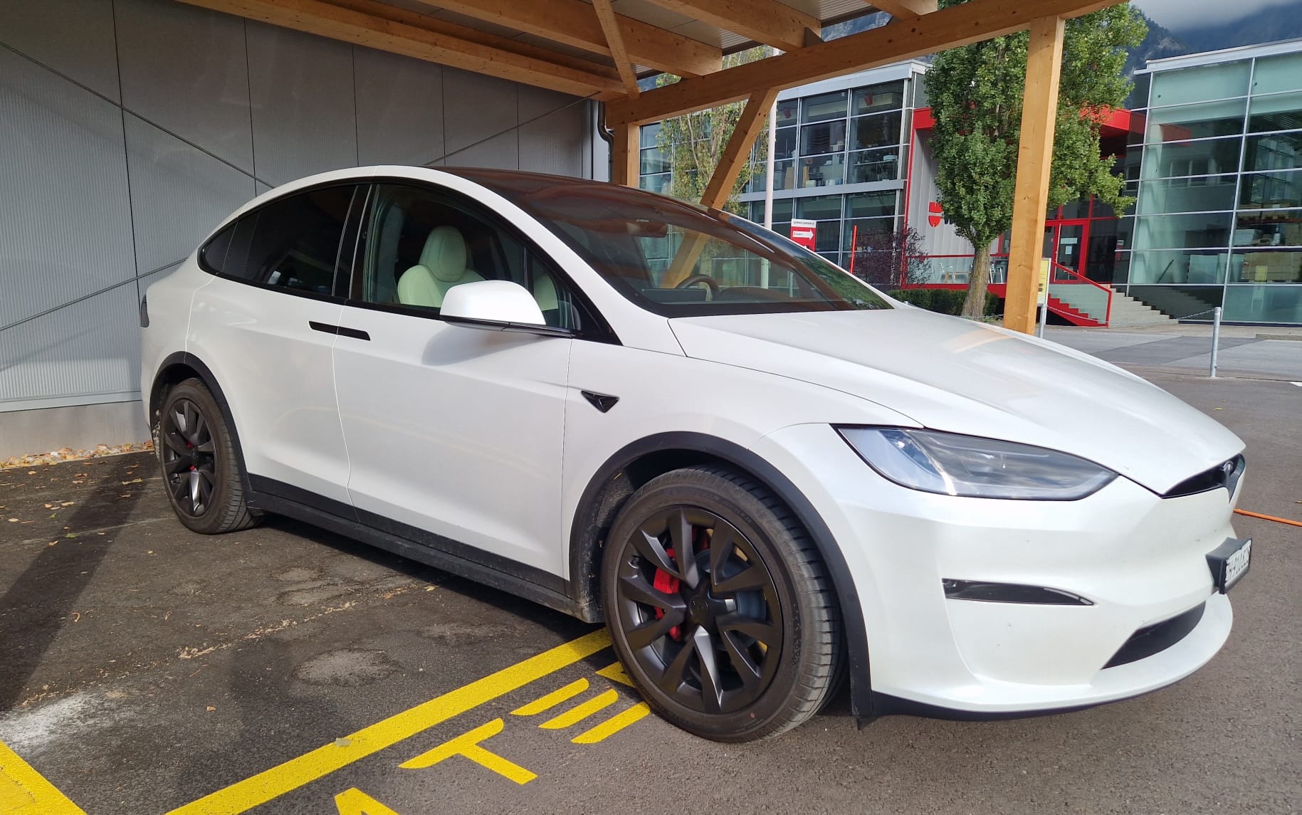 TESLA Model X 100kWh Plaid-image-2