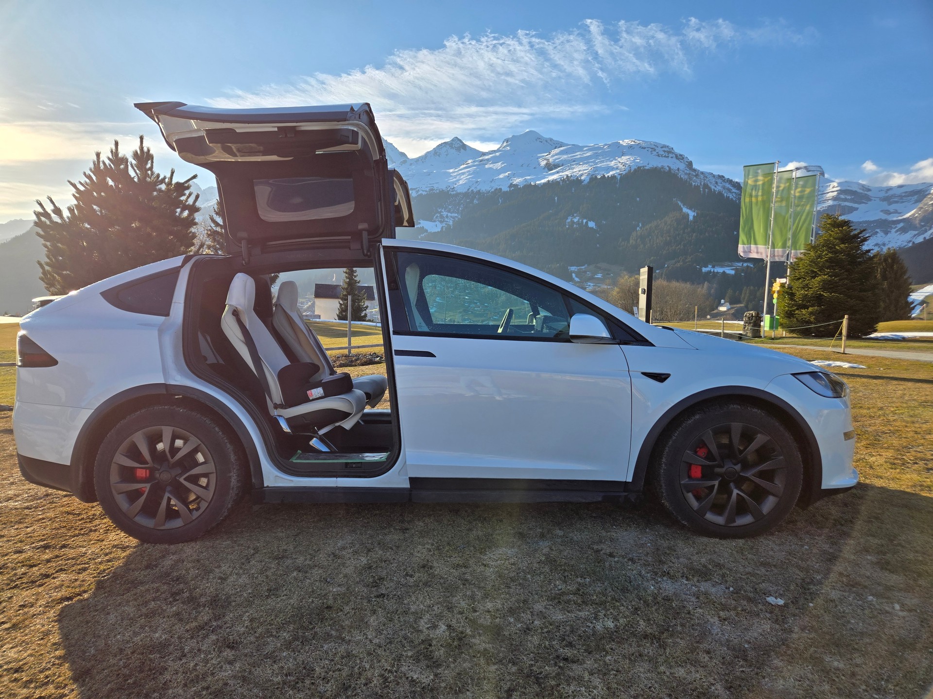 TESLA Model X 100kWh Plaid-image-3