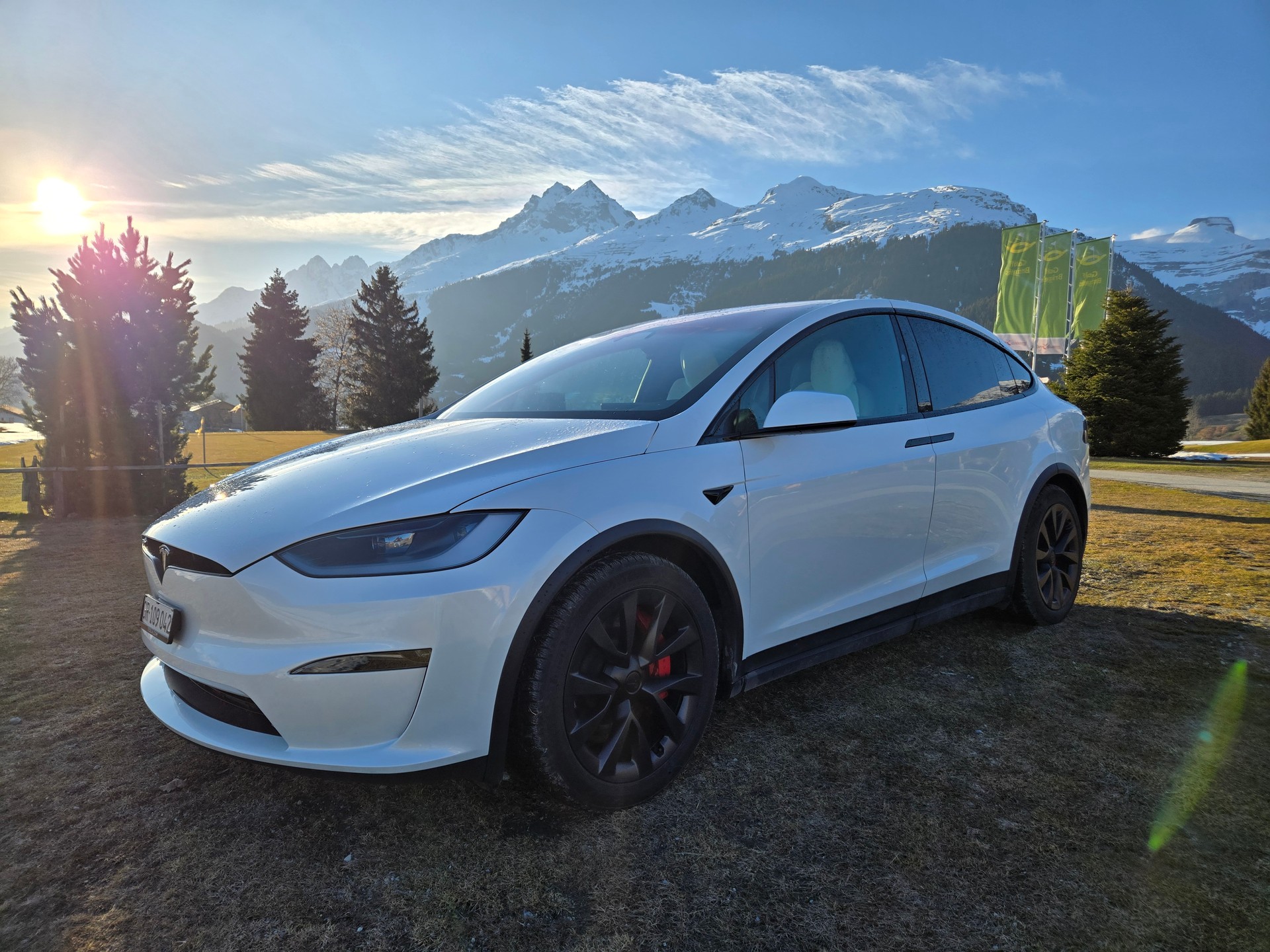 TESLA Model X 100kWh Plaid-image-1
