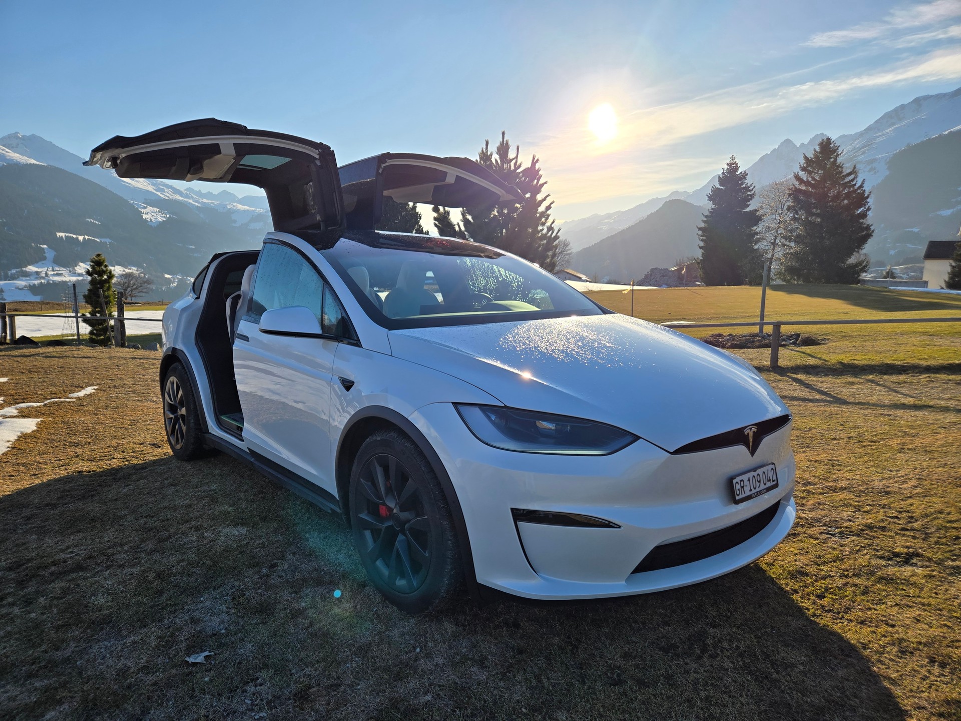 TESLA Model X 100kWh Plaid-image-0